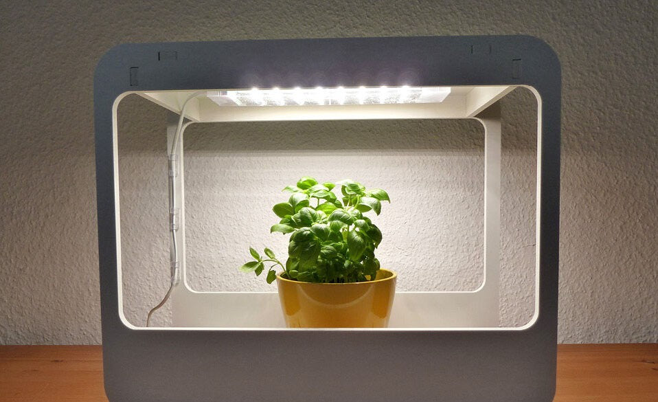 Gärtnern in der Wohnung