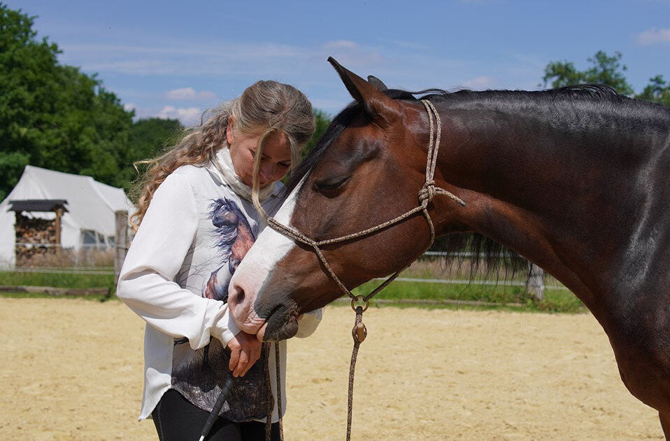 Harmonie zwischen Mensch und Pferd