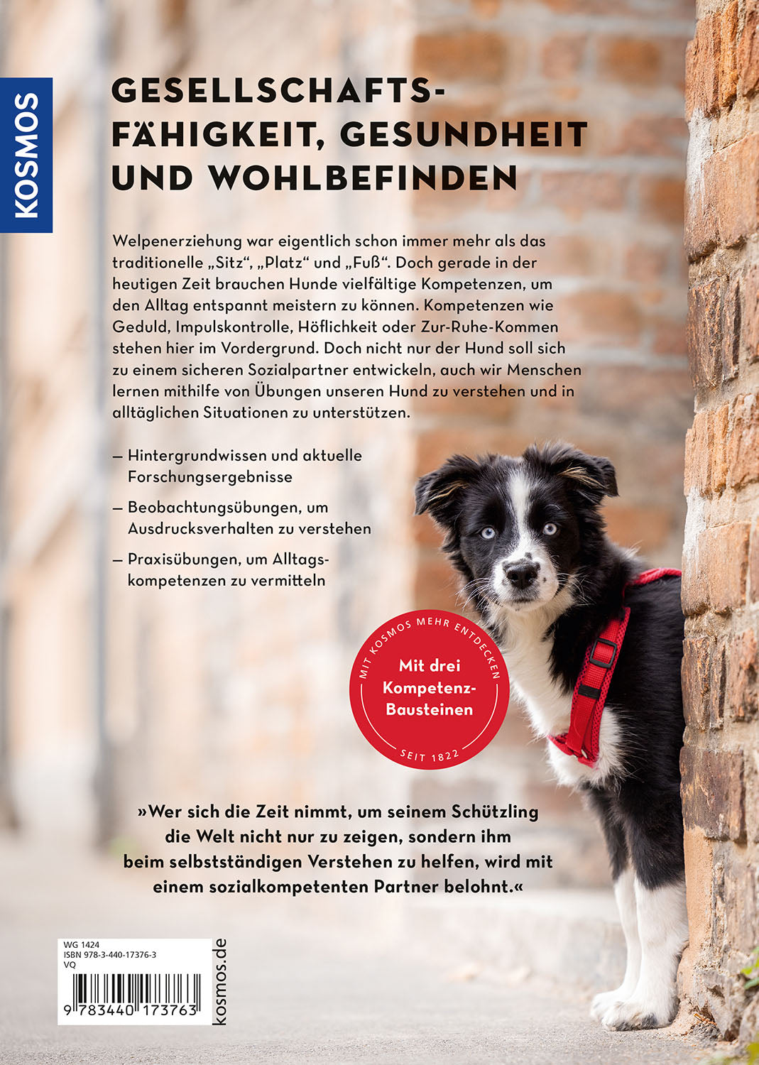 Modern Puppy Training