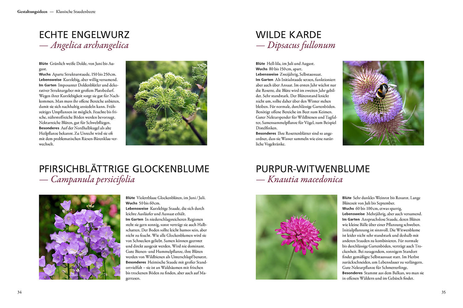 Der antiautoritäre Garten