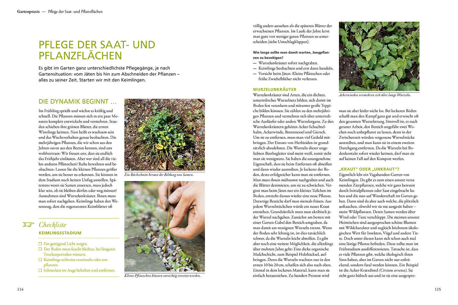 Der antiautoritäre Garten