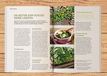 Schluss mit dem Kräutersammeln
