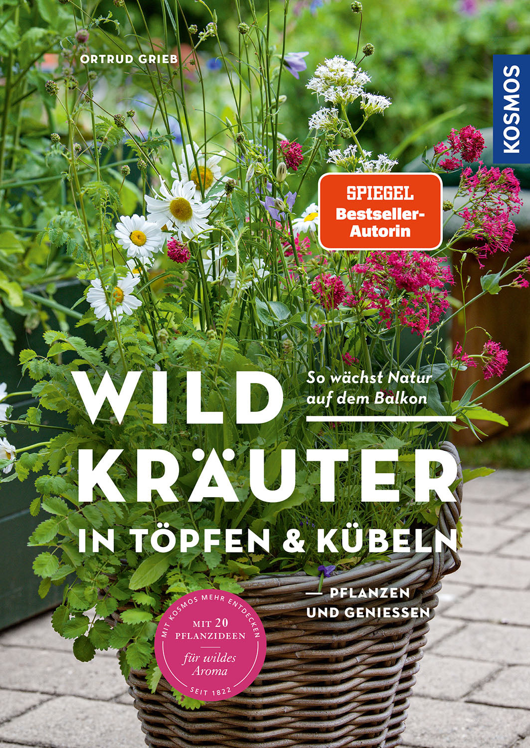 Wild herbs in pots & containers