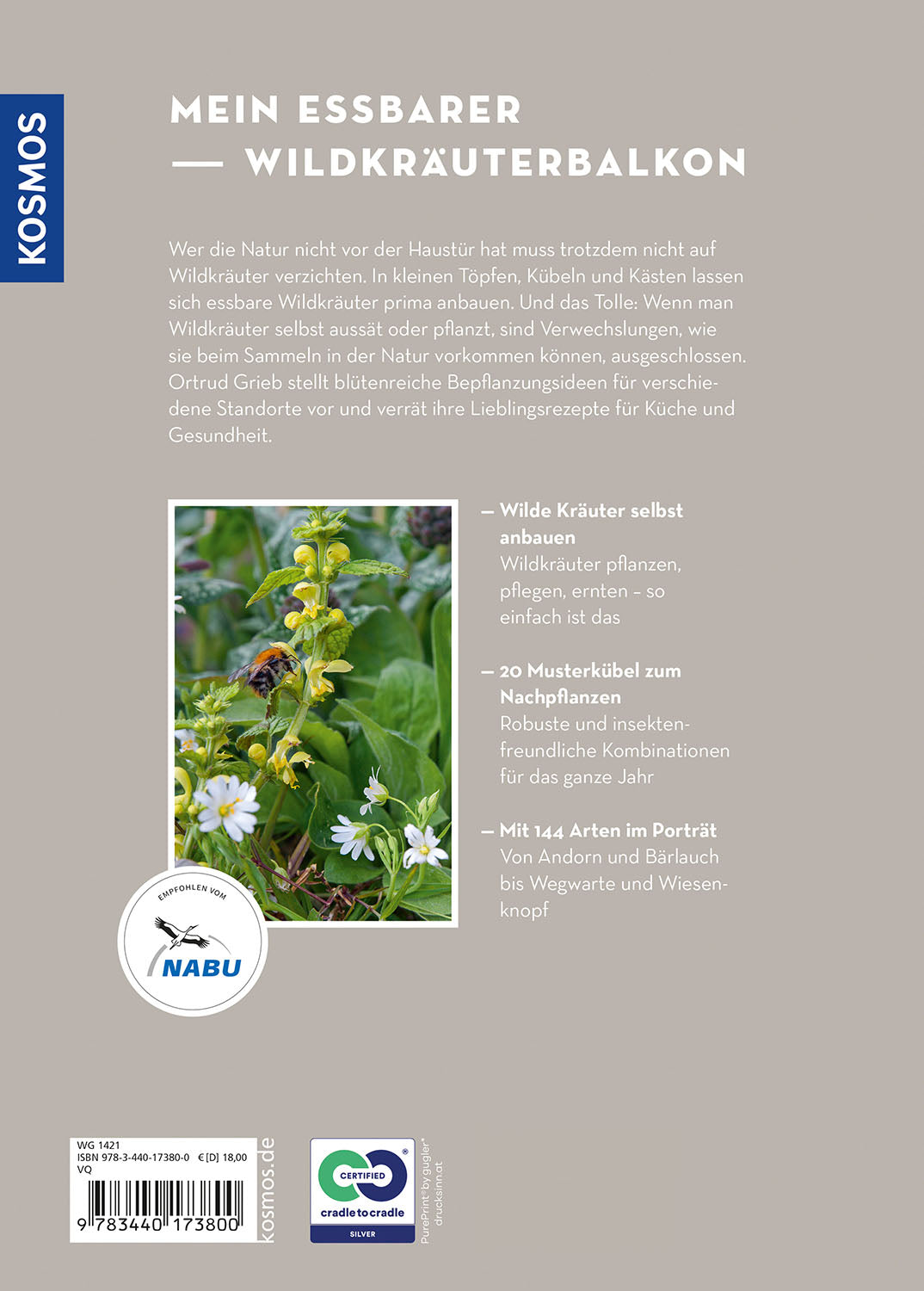 Wildkräuter in Töpfen & Kübeln