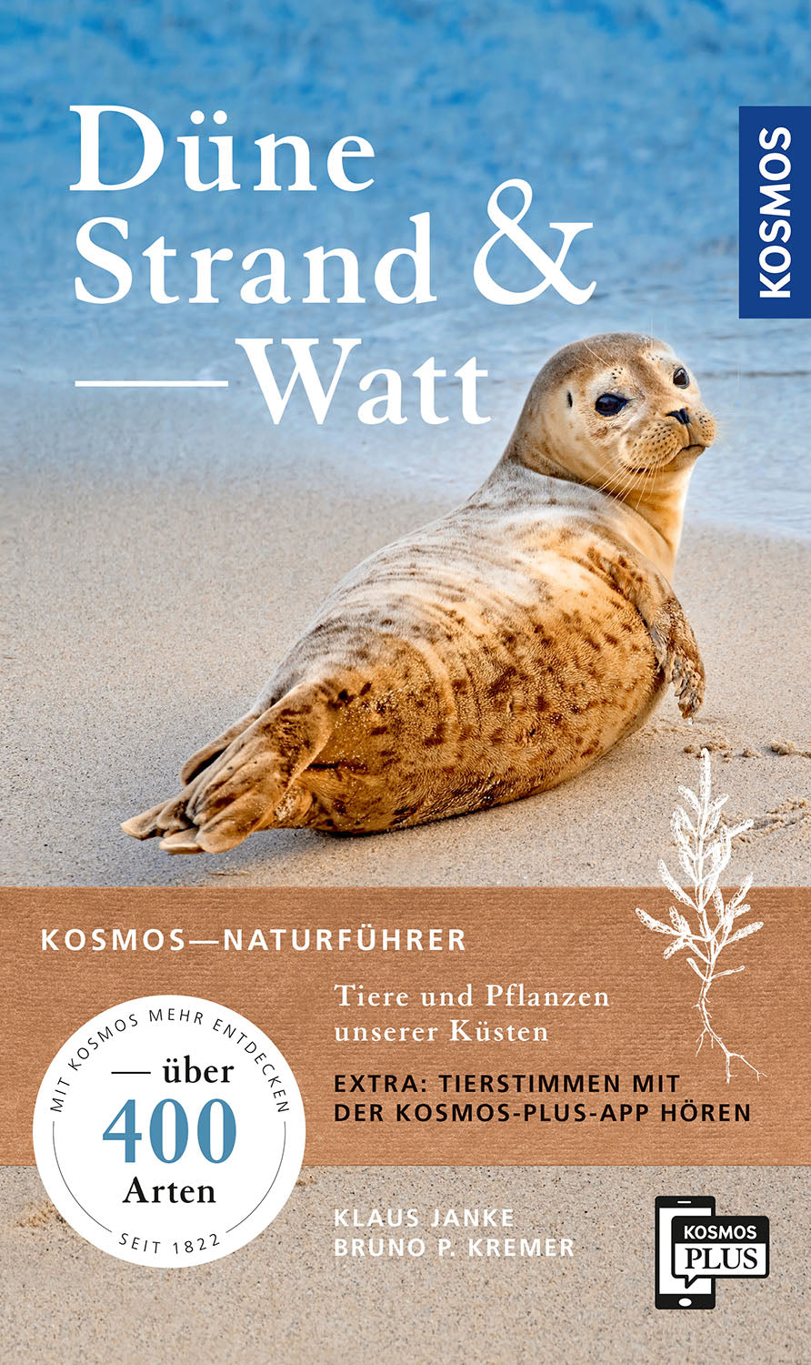 Dune, beach, and mudflats