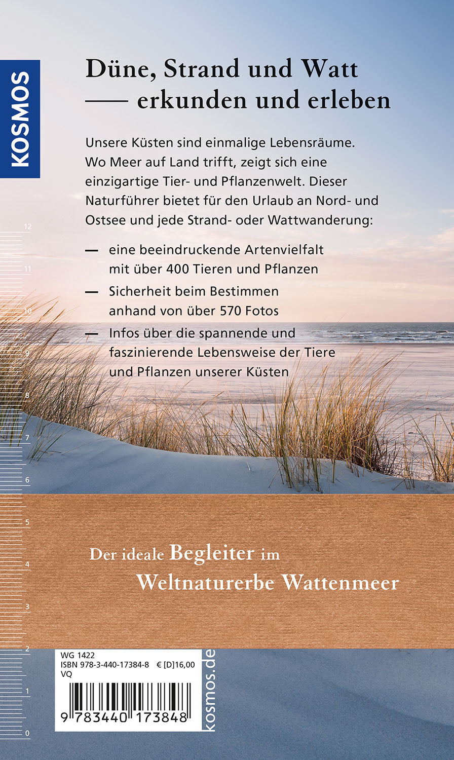Dune, beach, and mudflats