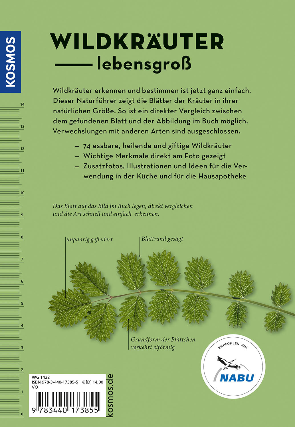 Wildkräuter am Blatt erkennen