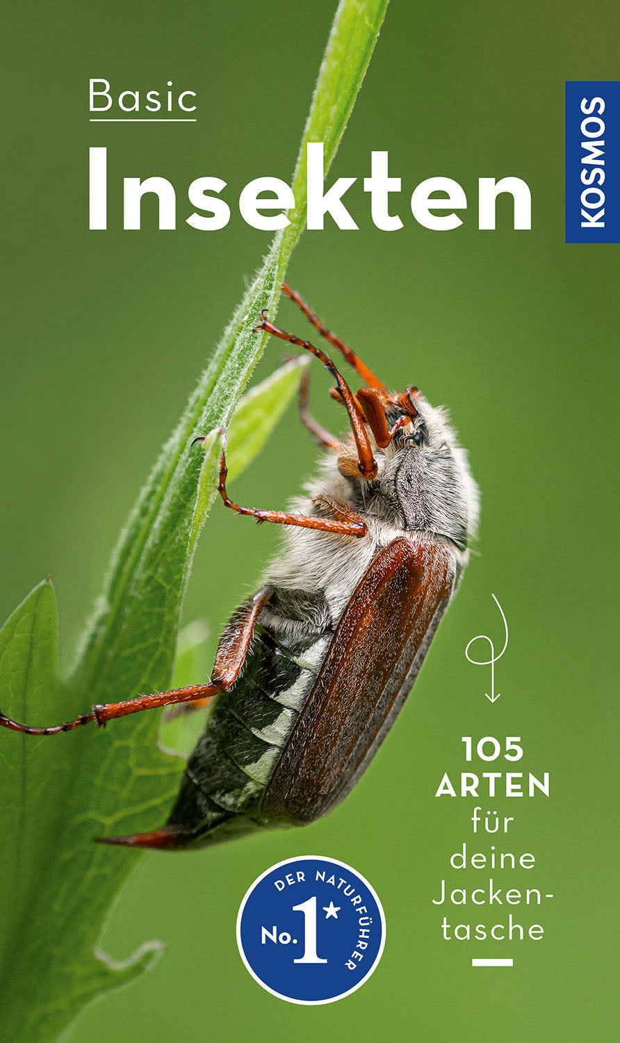 BASIC Insects