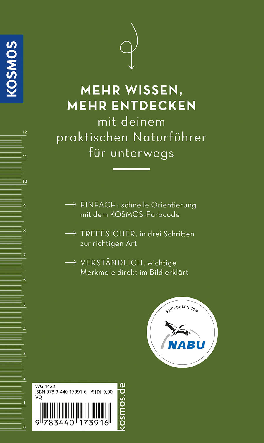 BASIC Insekten