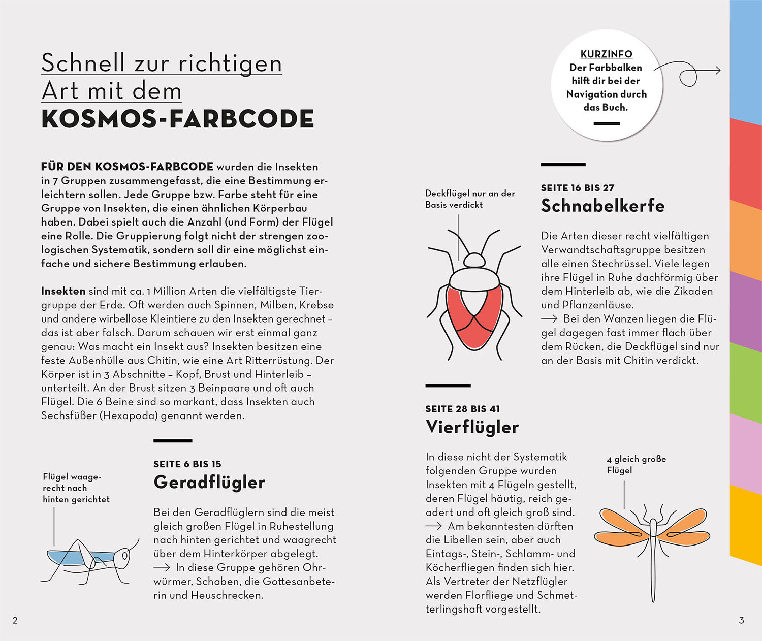 BASIC Insekten