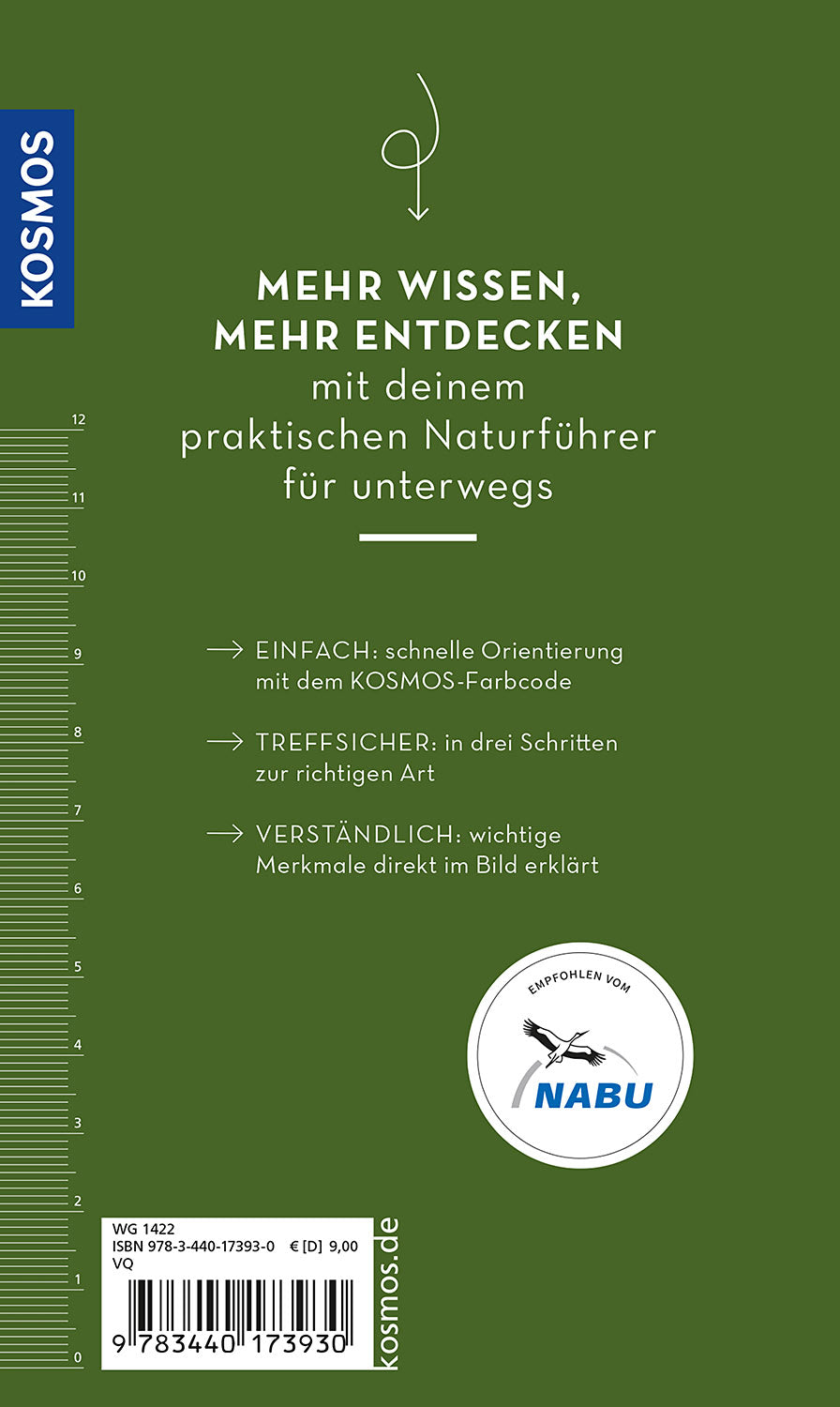 BASIC Vögel