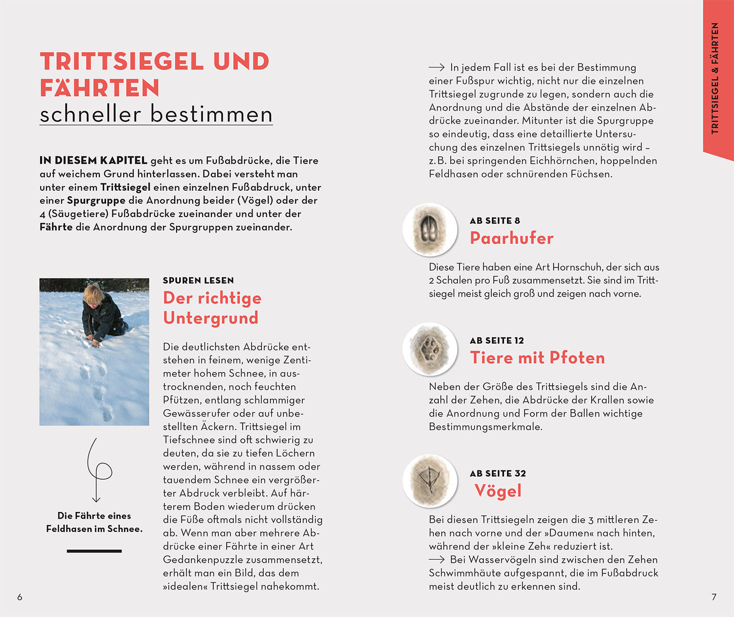 BASIC Tierspuren