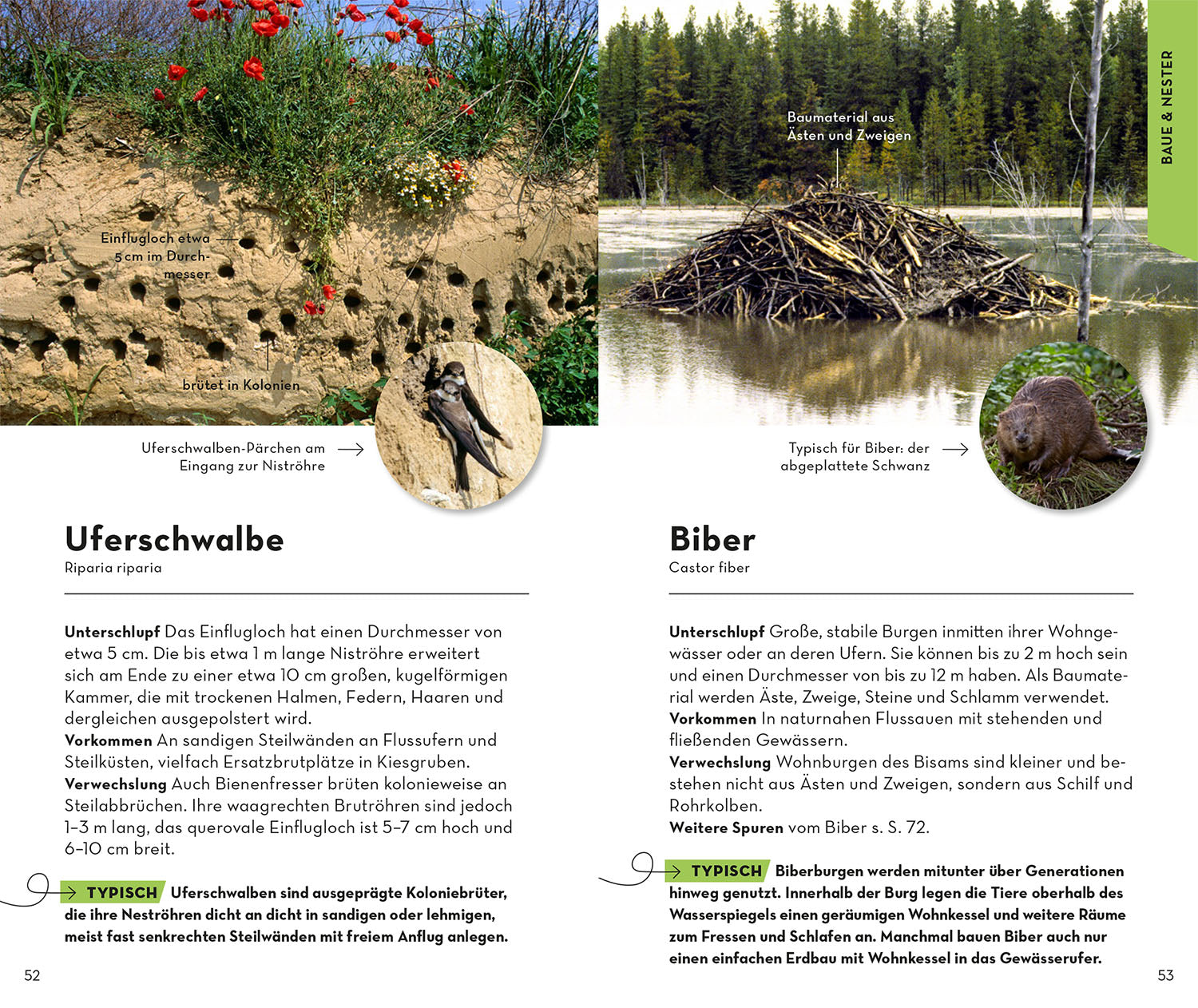 BASIC Tierspuren