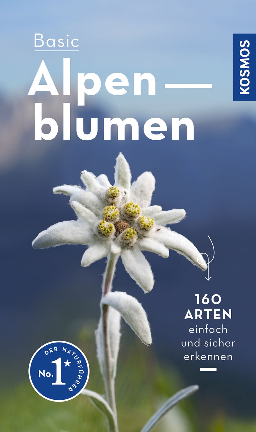 Basic Alpine Flowers