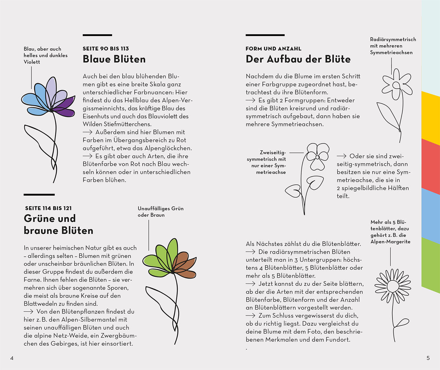 Basic Alpine Flowers