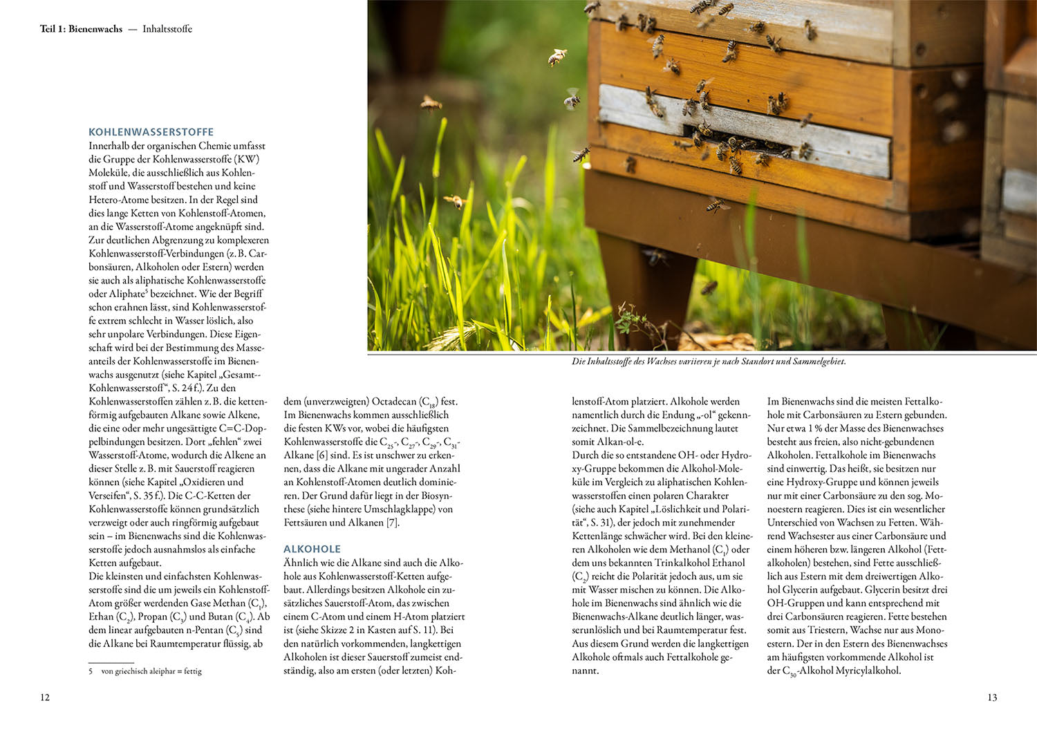Beeswax and the Wax Cycle