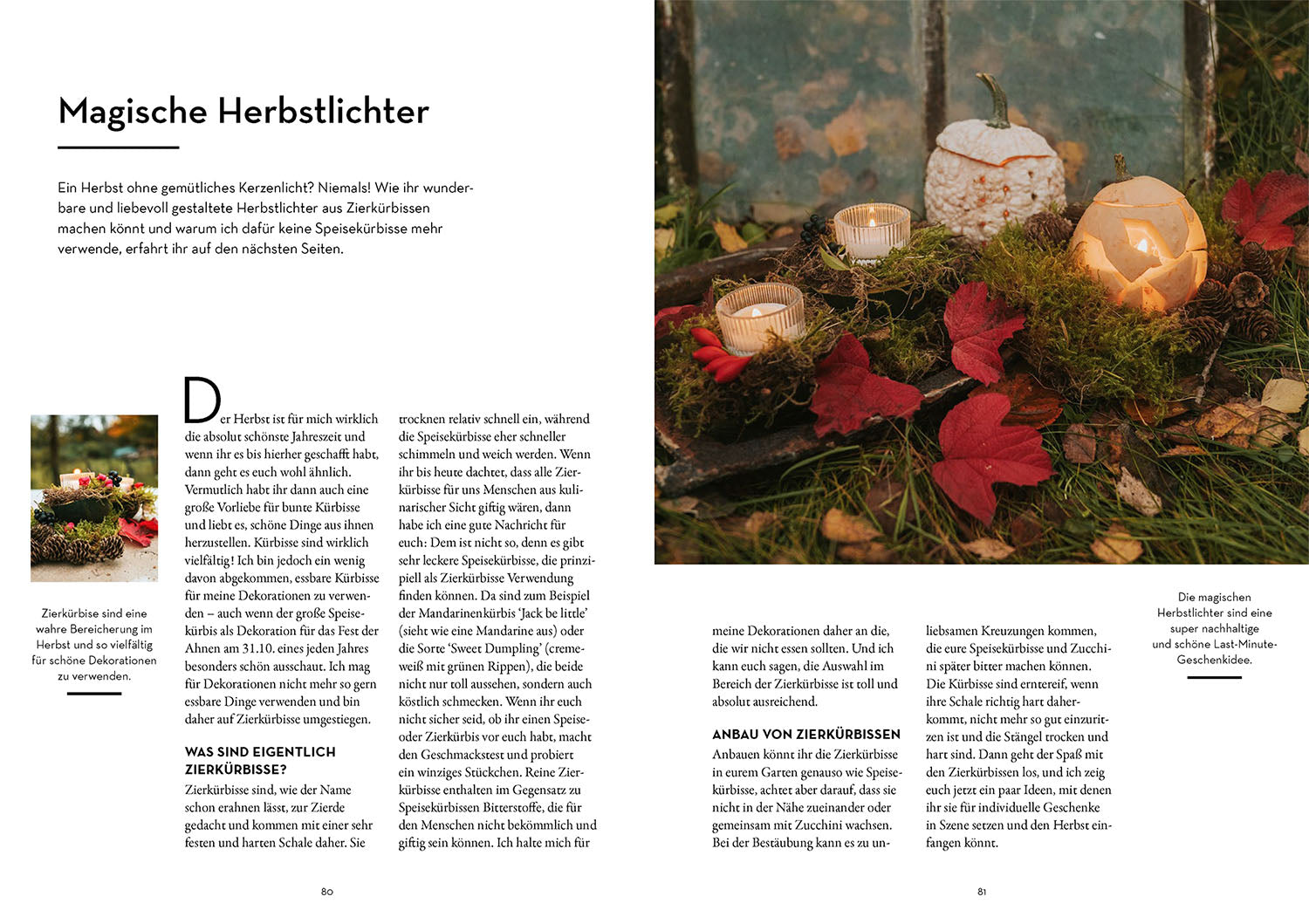 Geschenke pflanzen