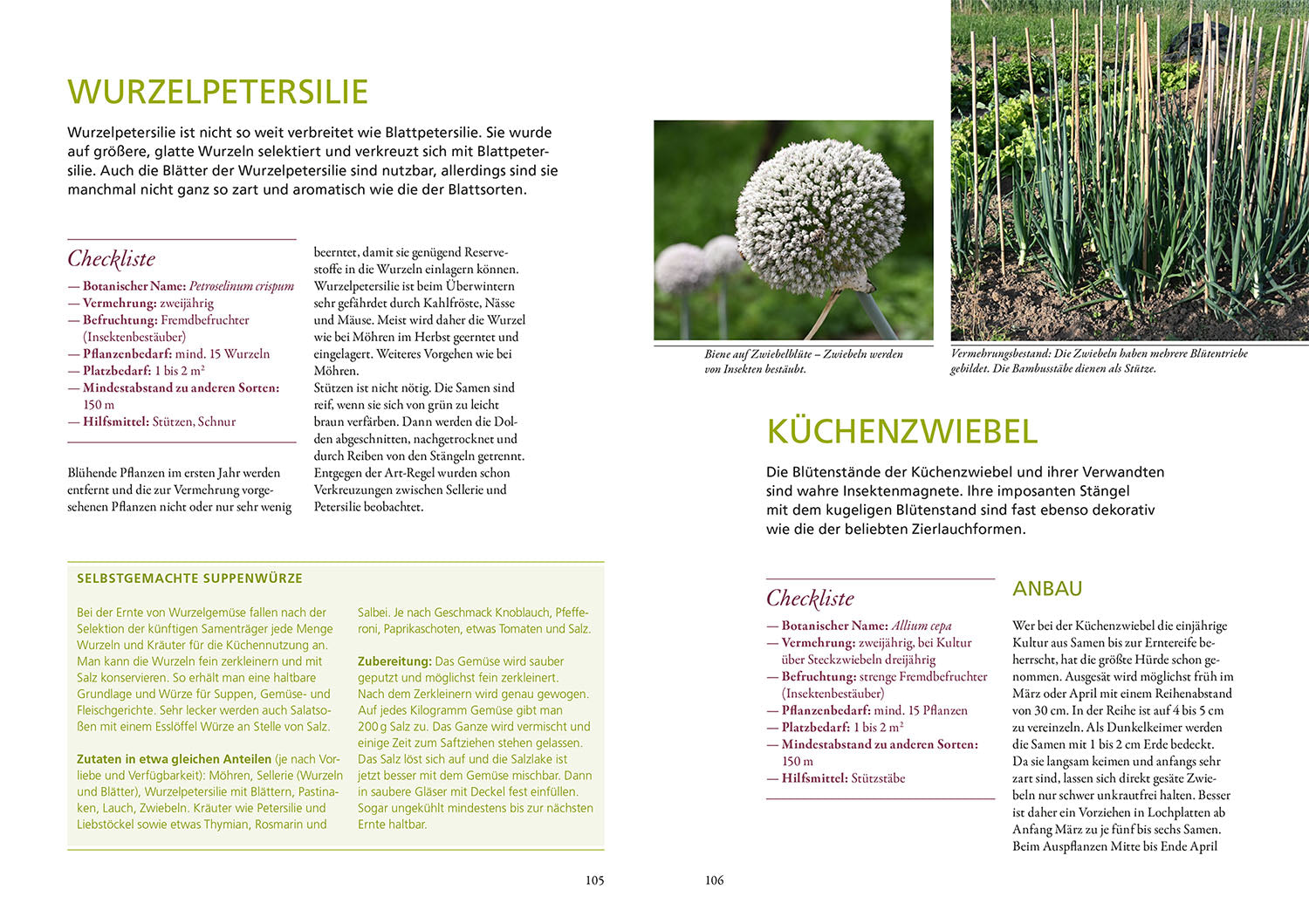 Meine Samen-Gärtnerei