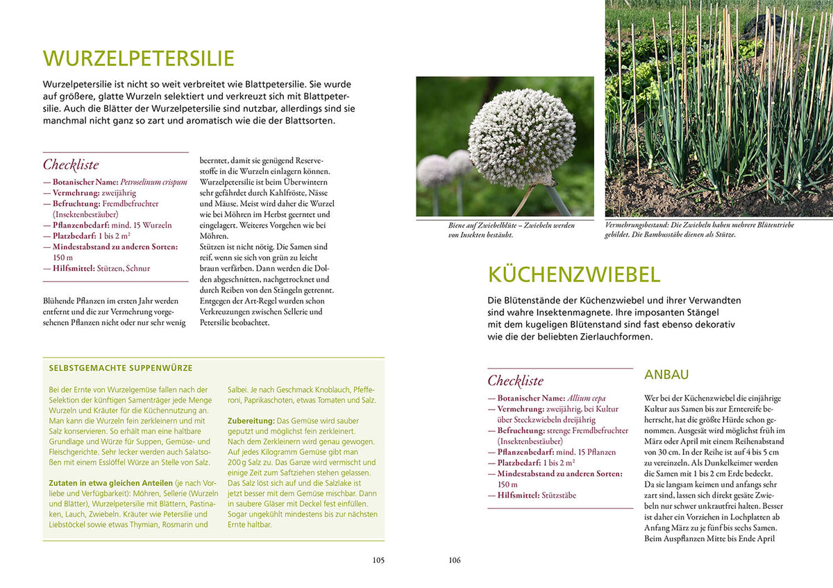 Meine Samen-Gärtnerei