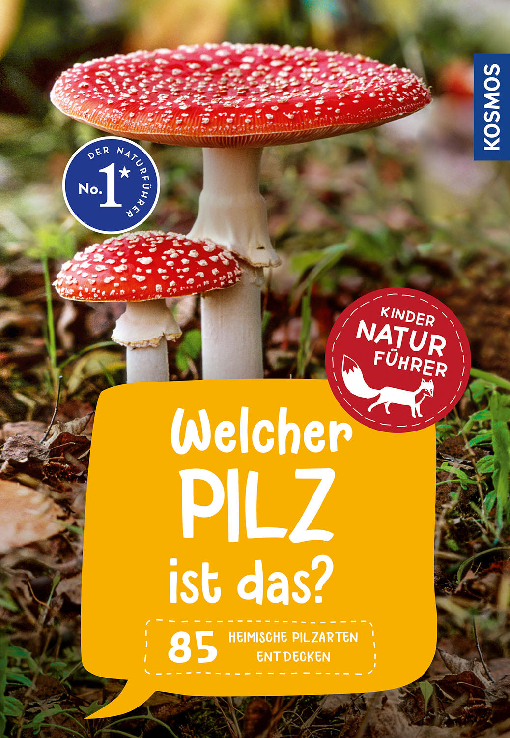 What kind of mushroom is this? A children's nature guide