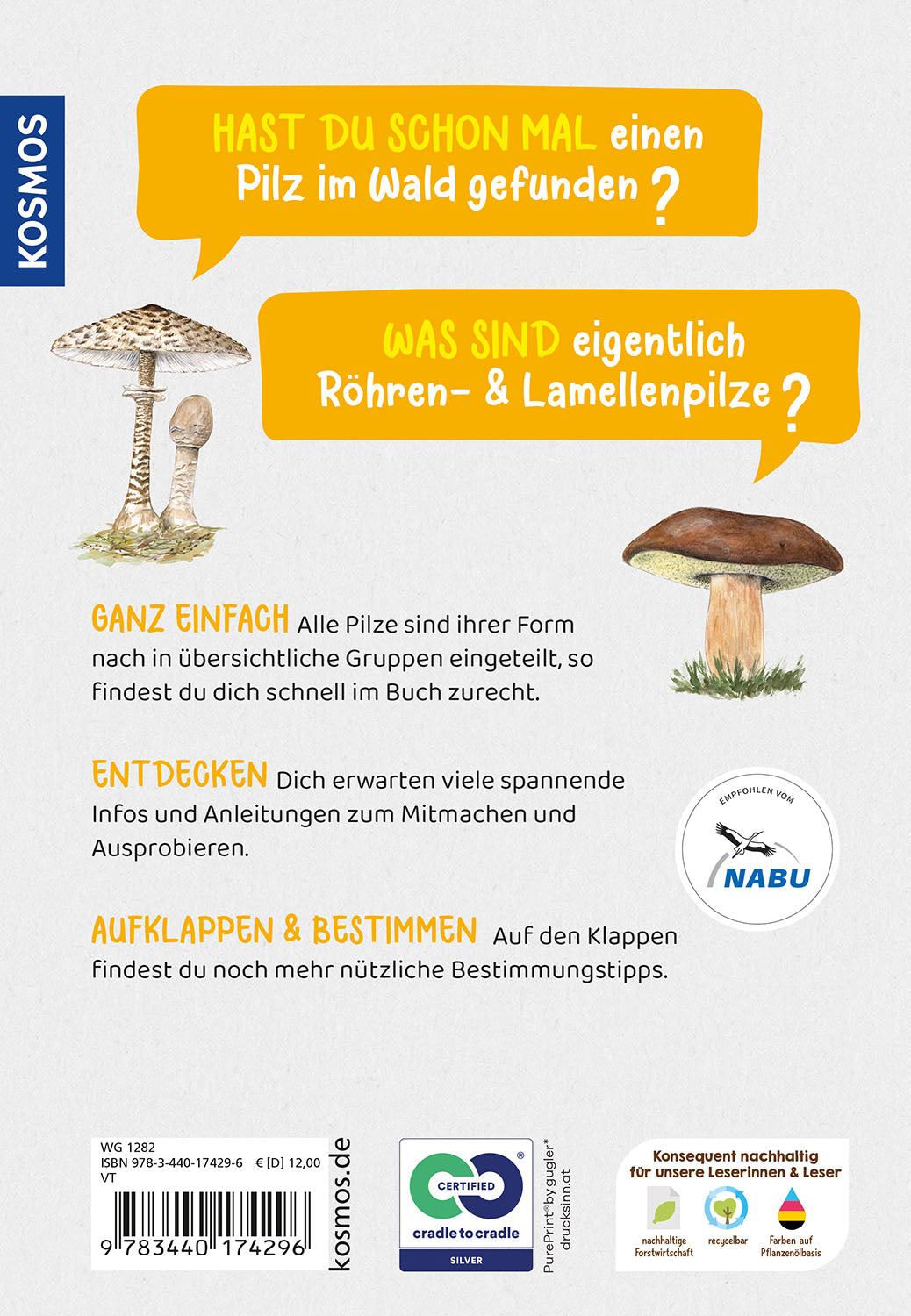 What kind of mushroom is this? A children's nature guide
