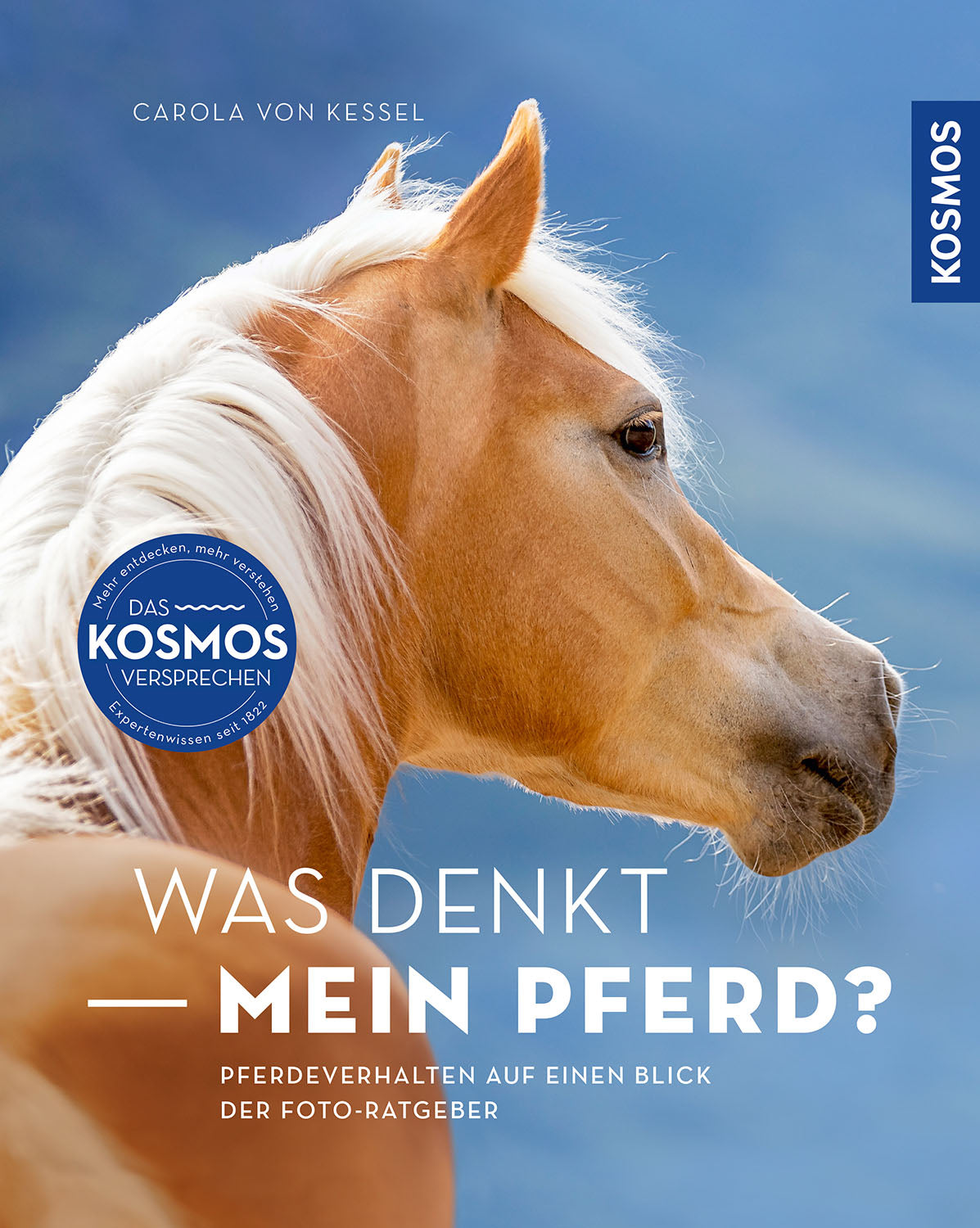 What is my horse thinking?