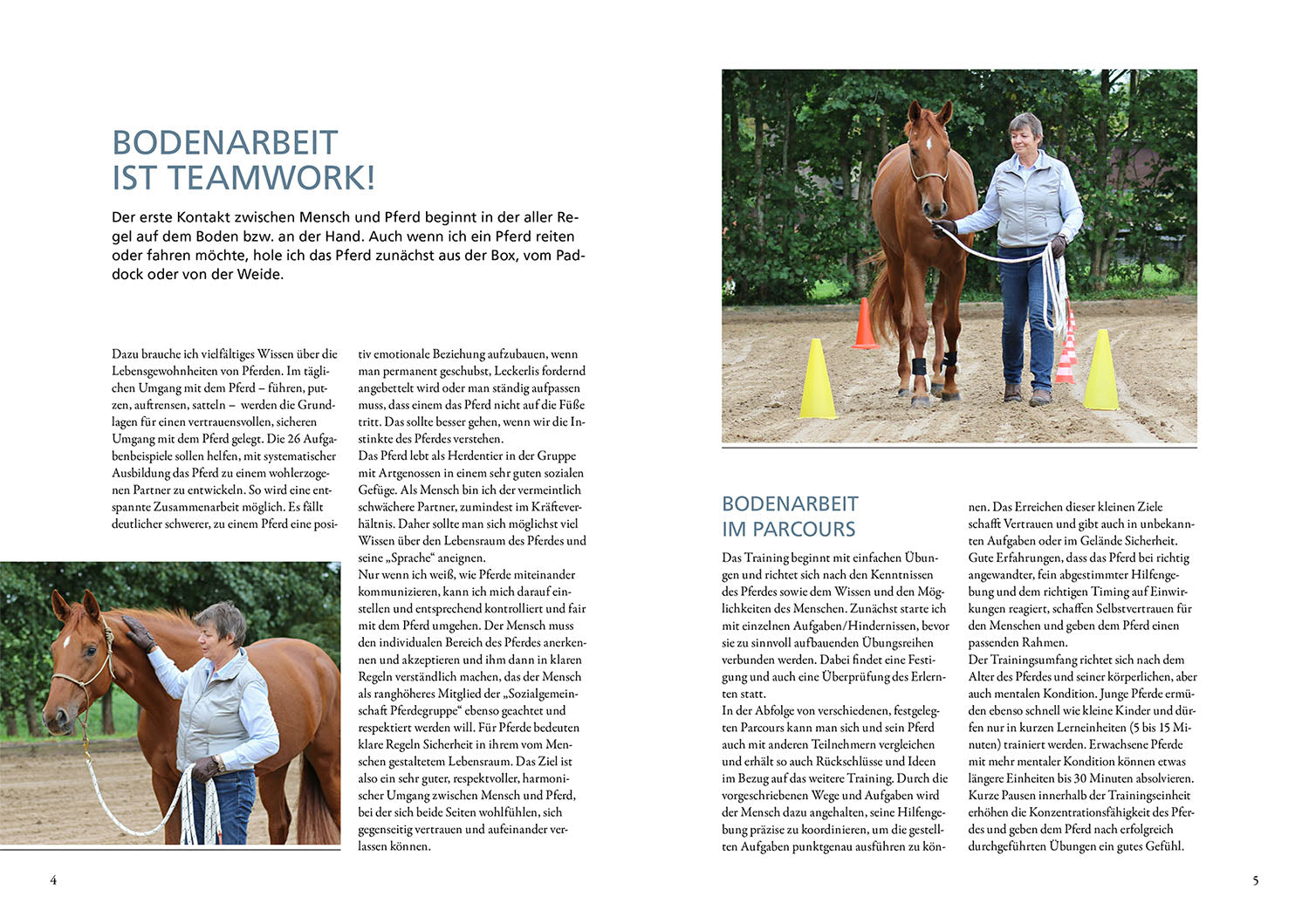 Groundwork for Horses