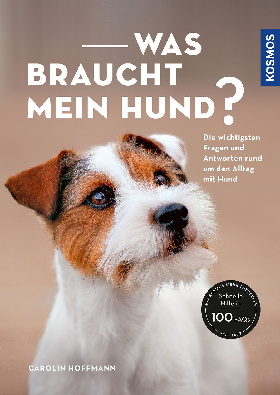 What does my dog need?