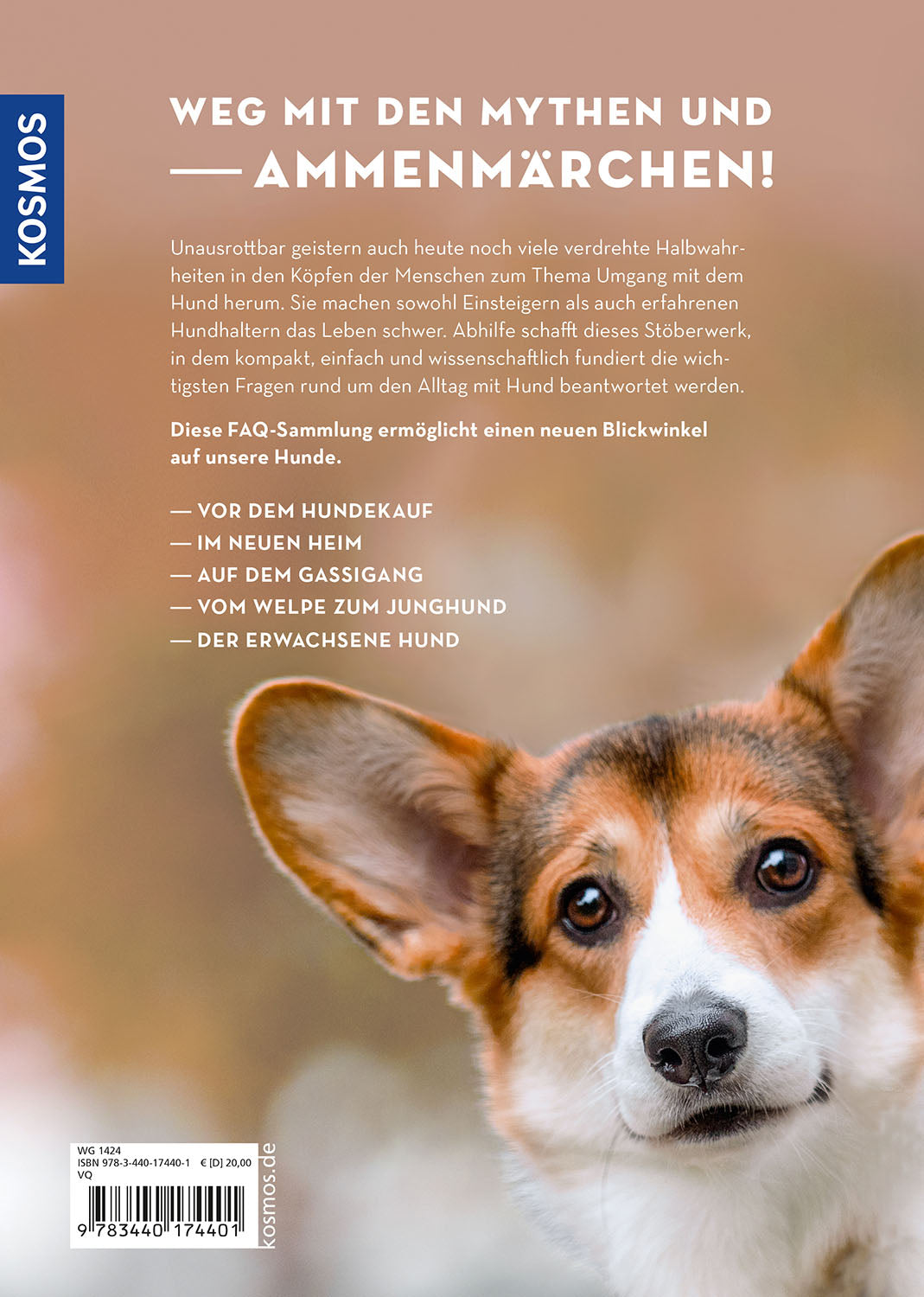 Was braucht mein Hund?