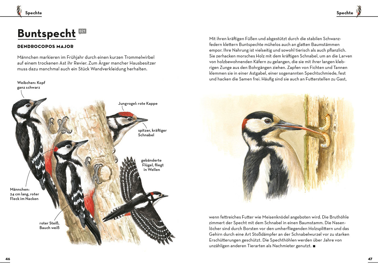 Einfach Gartenvögel