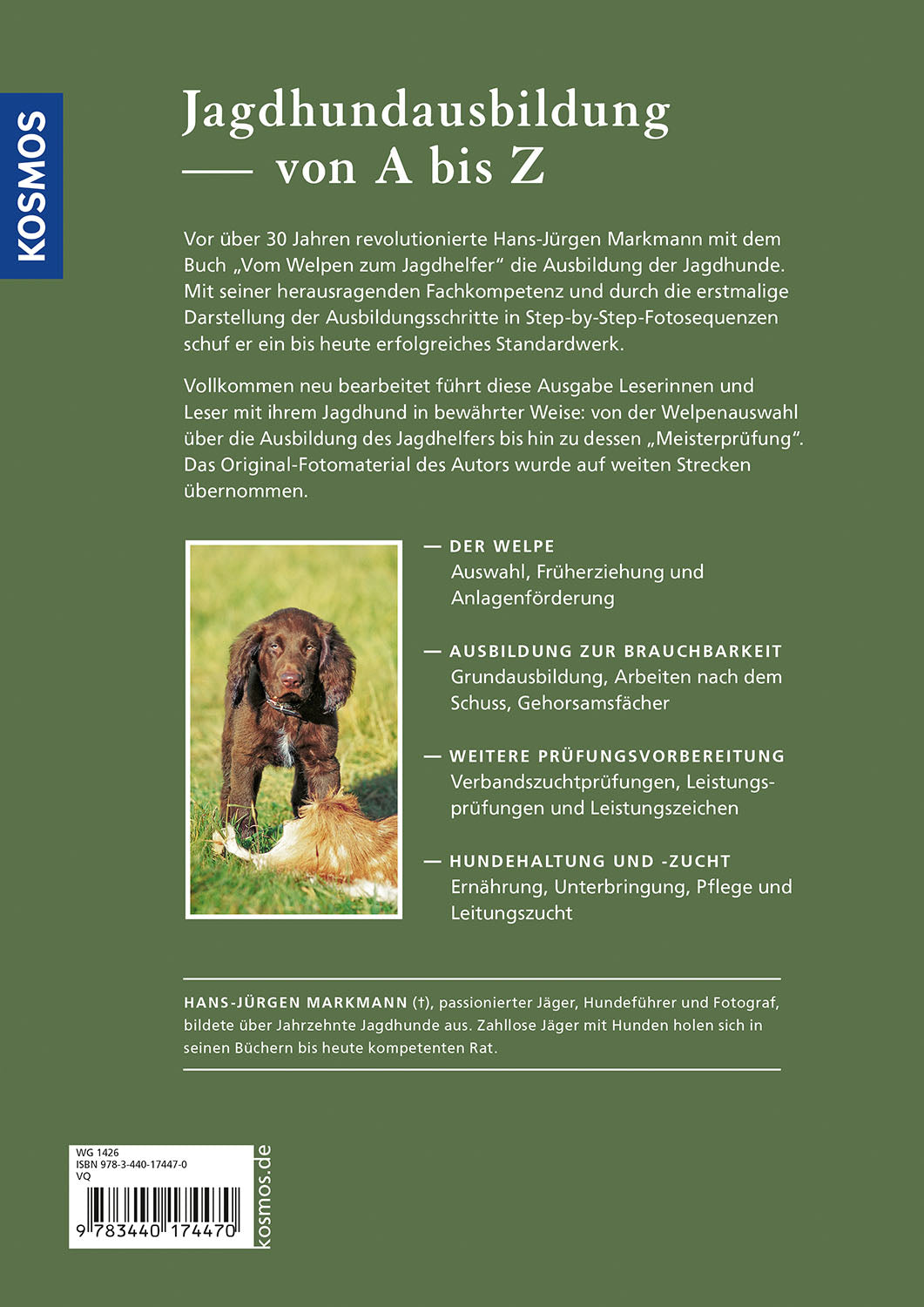 Vom Welpen zum Jagdhelfer