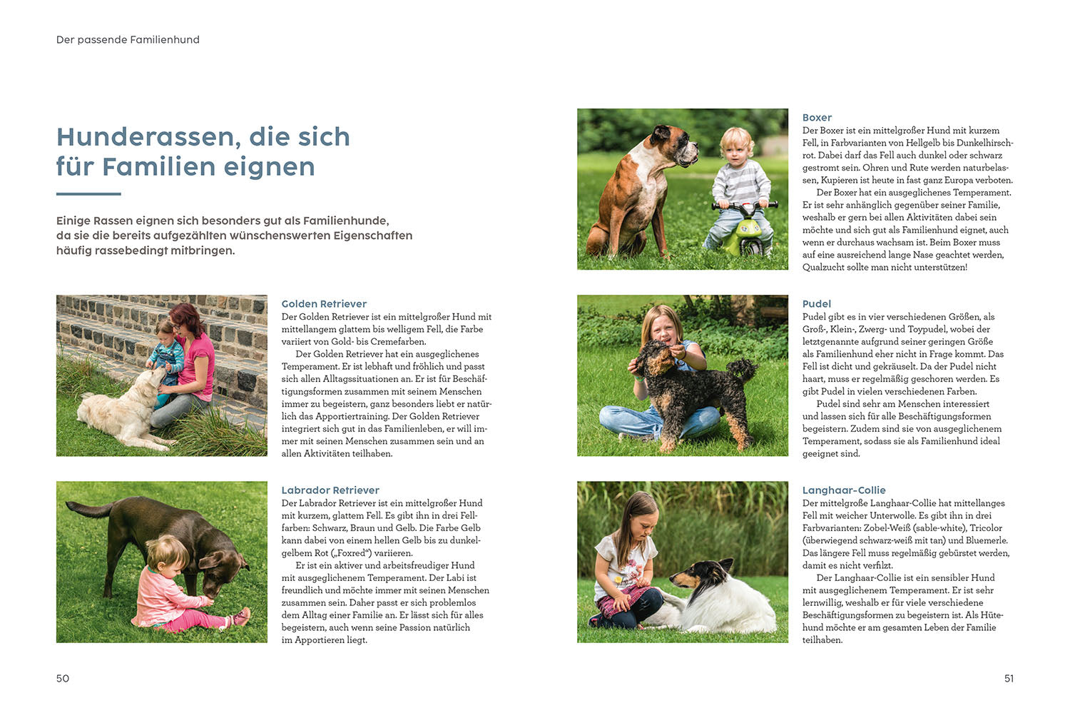 Hund und Kind - mit Martin Rütter