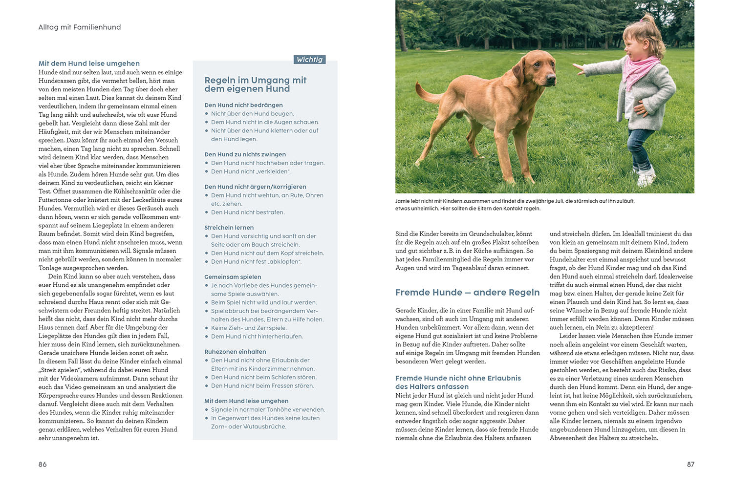 Hund und Kind - mit Martin Rütter