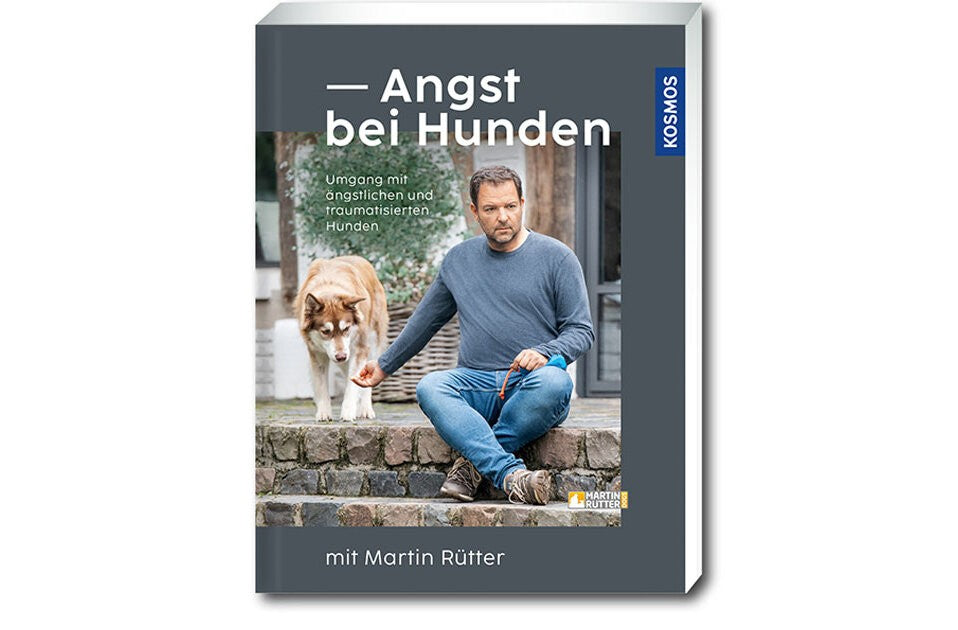Der richtige Umgang mit ängstlichen Hunden