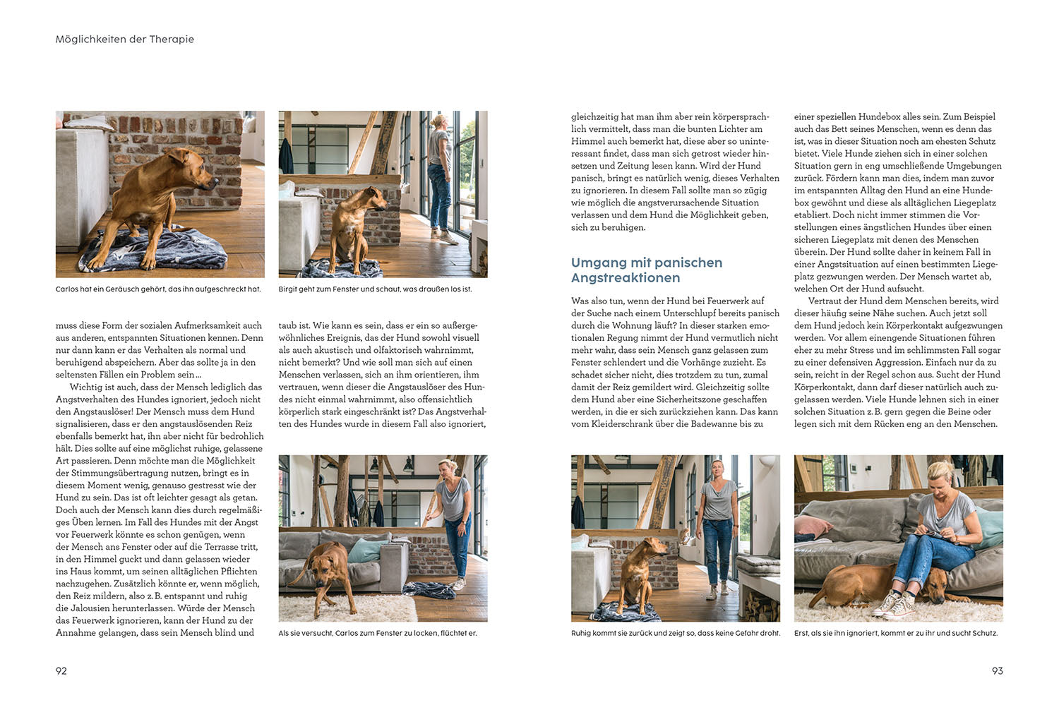 Anxiety in Dogs - with Martin Rütter