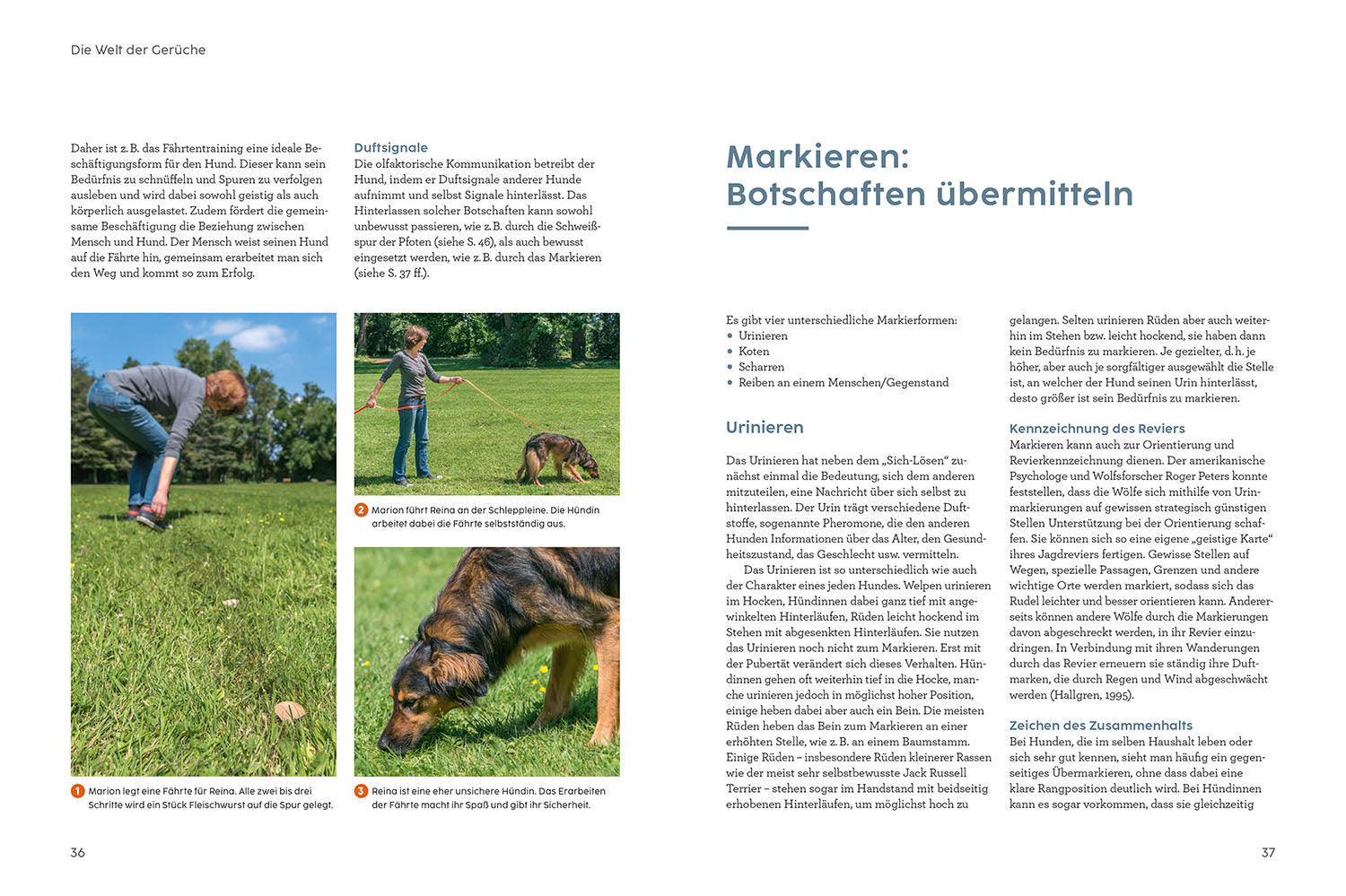 Dog Training Course with Martin Rütter