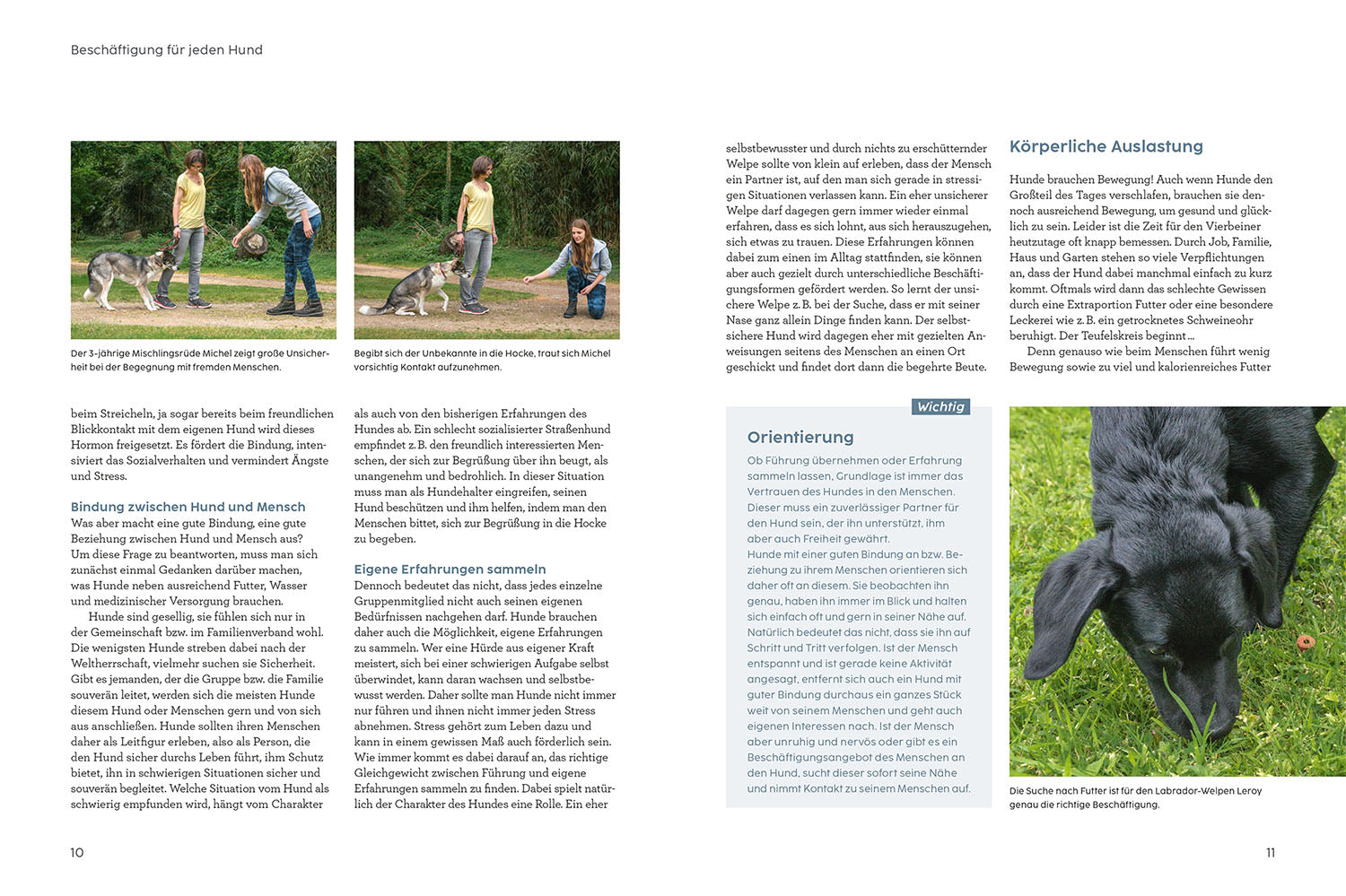 Engaging Dogs with Martin Rütter