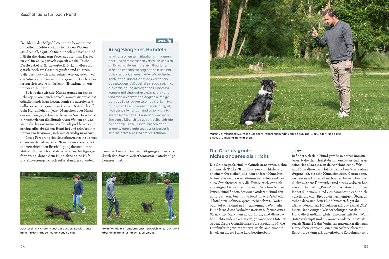 Hunde beschäftigen mit Martin Rütter
