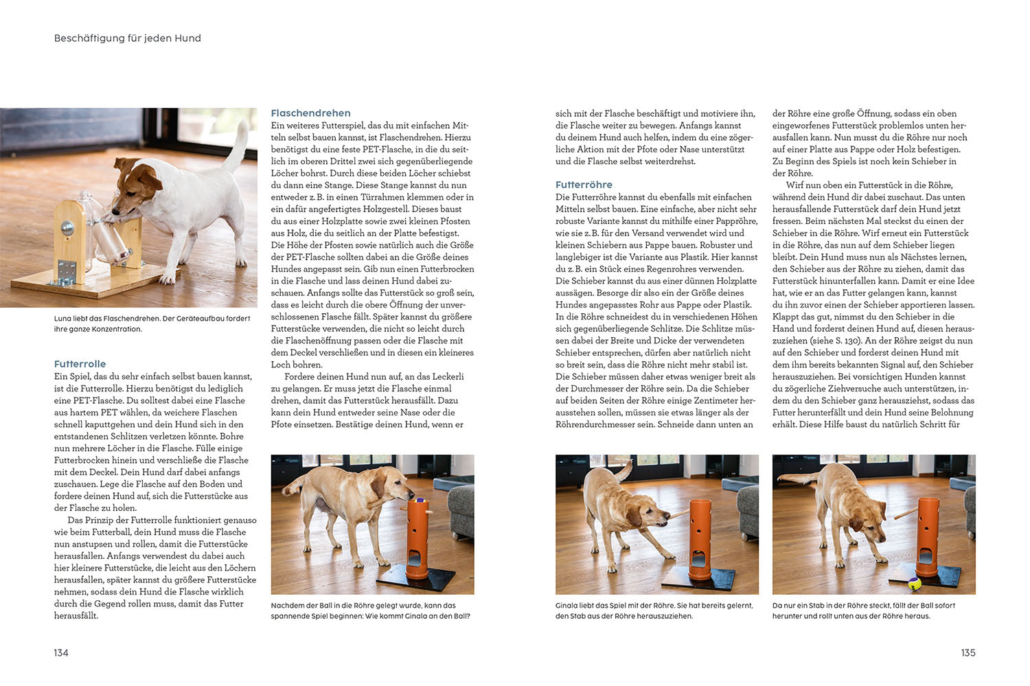 Hunde beschäftigen mit Martin Rütter