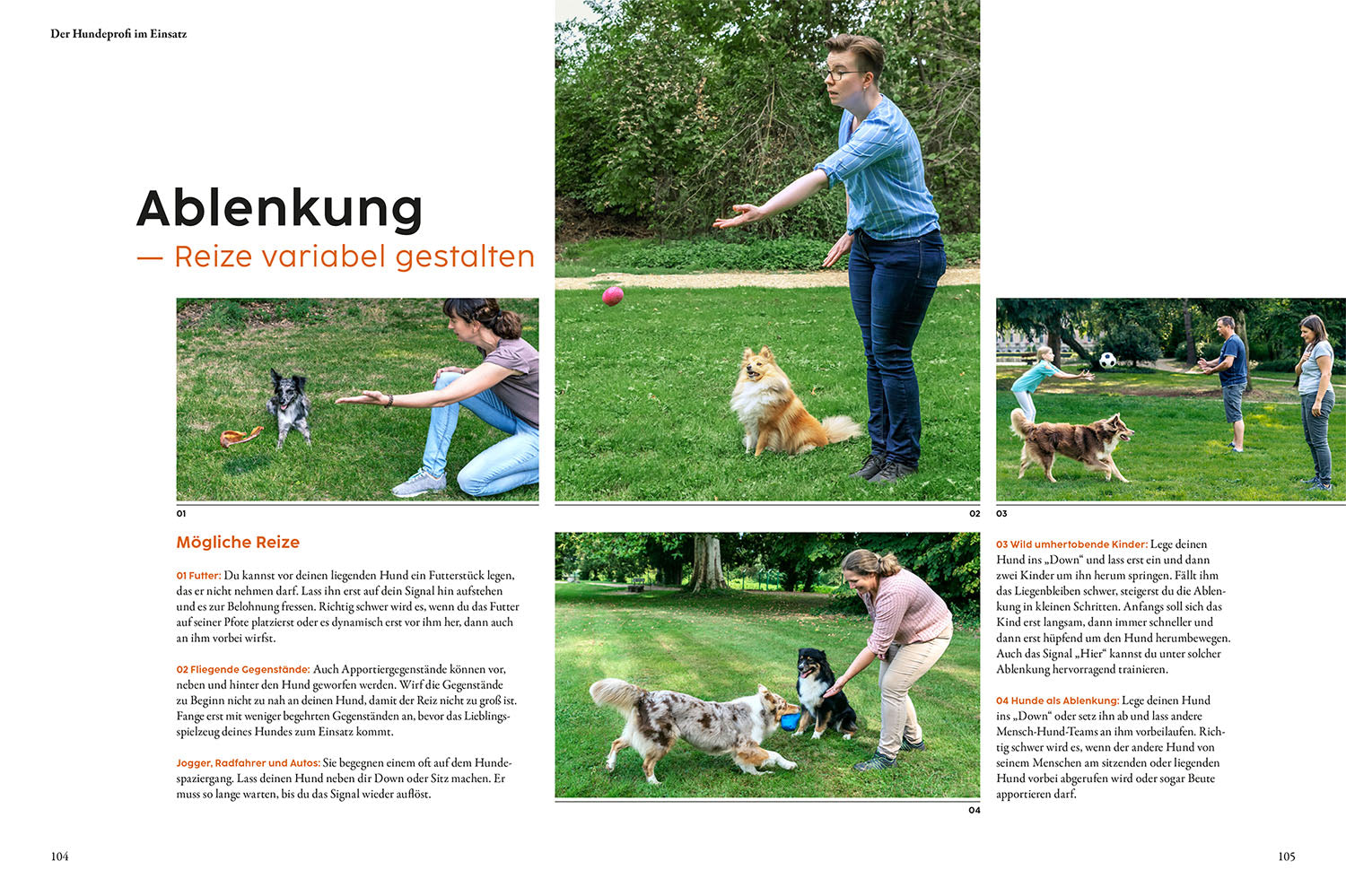 Dog Training with Martin Rütter