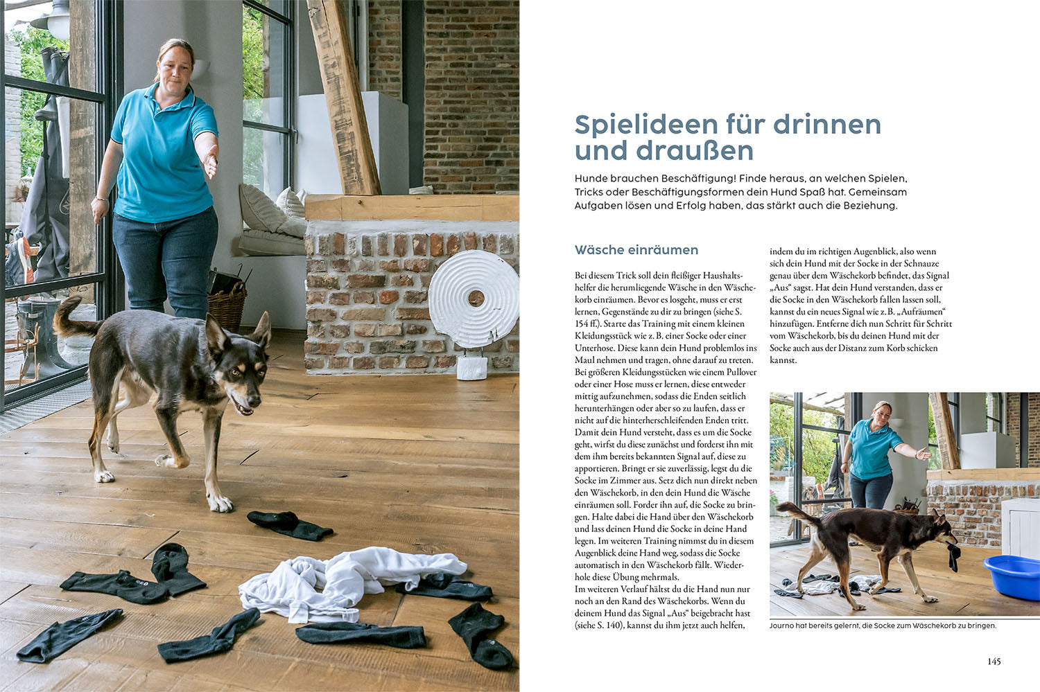 Dog Training with Martin Rütter