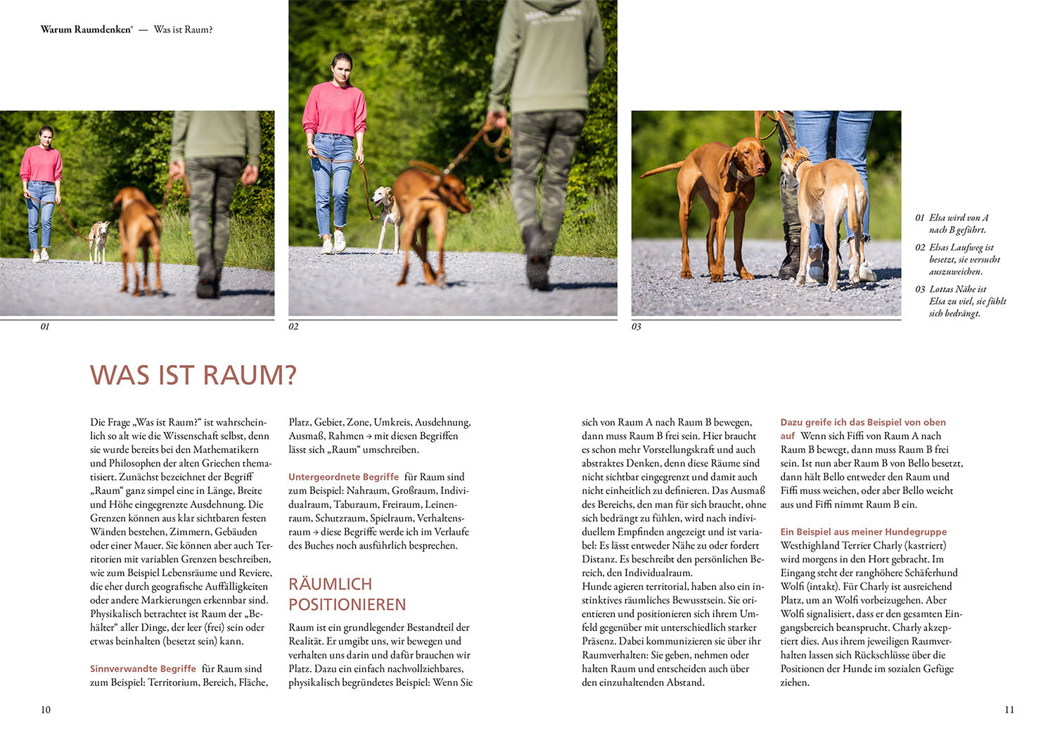 Raumdenken® in der Hundeerziehung