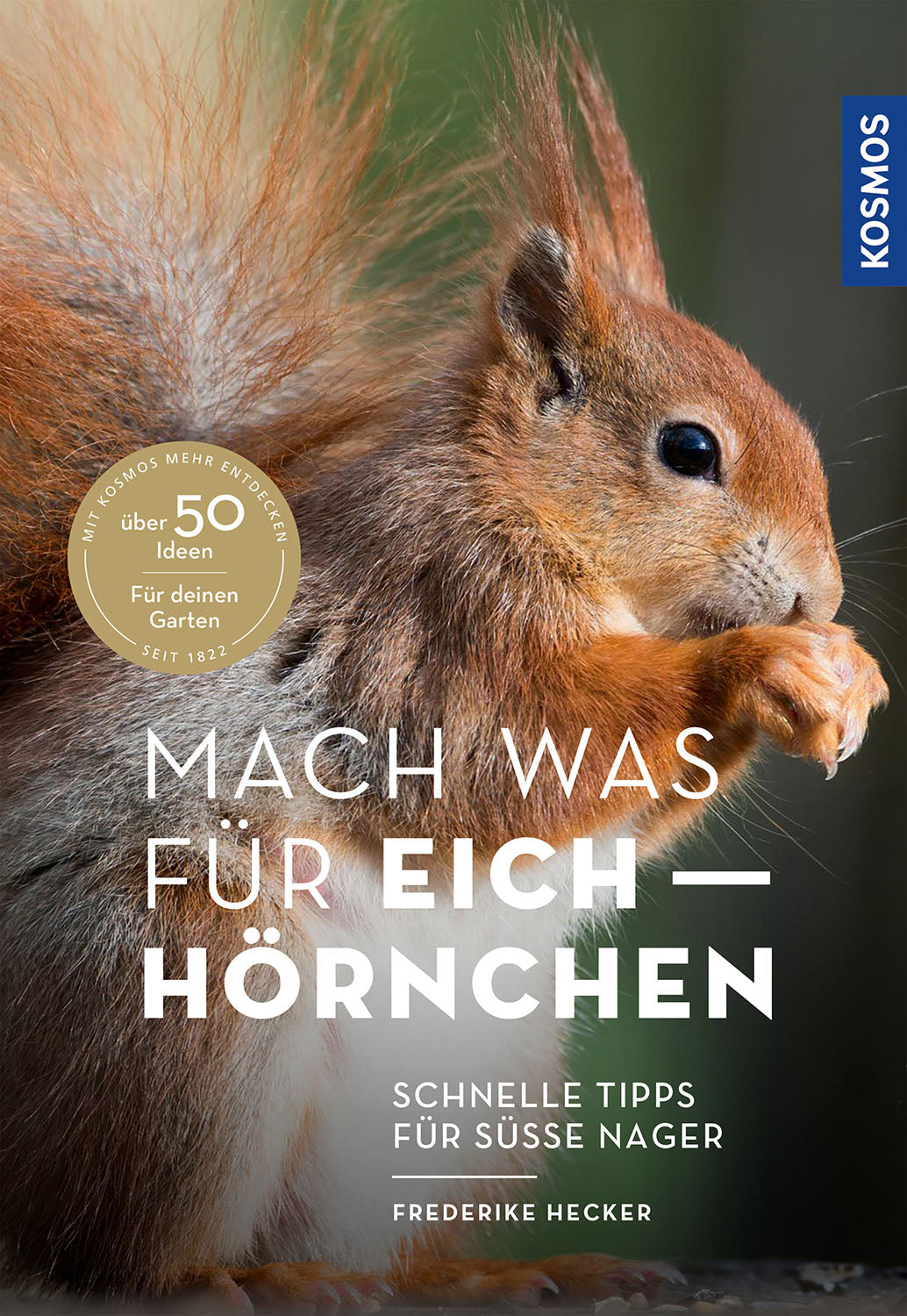 Do something for squirrels
