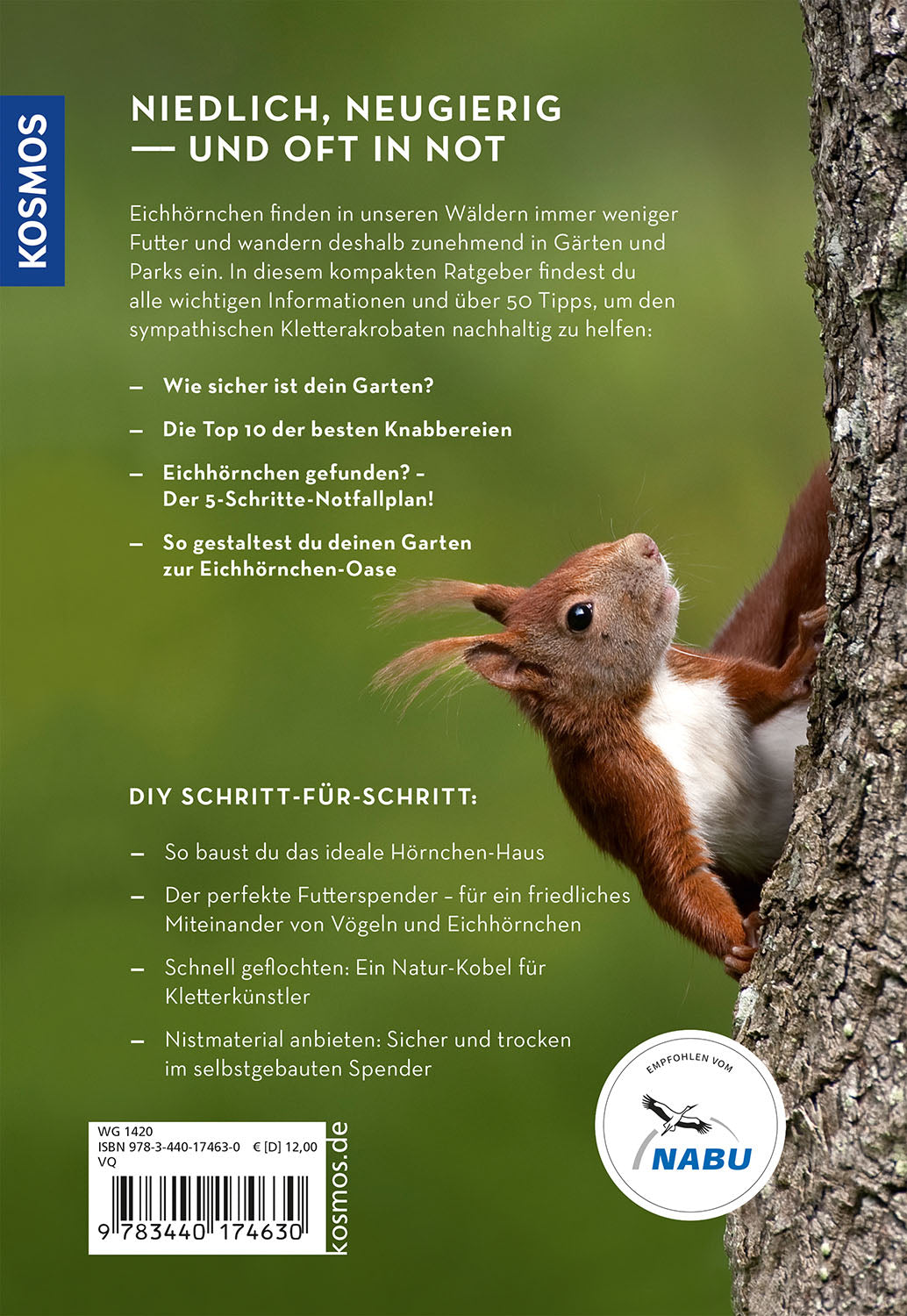 Do something for squirrels