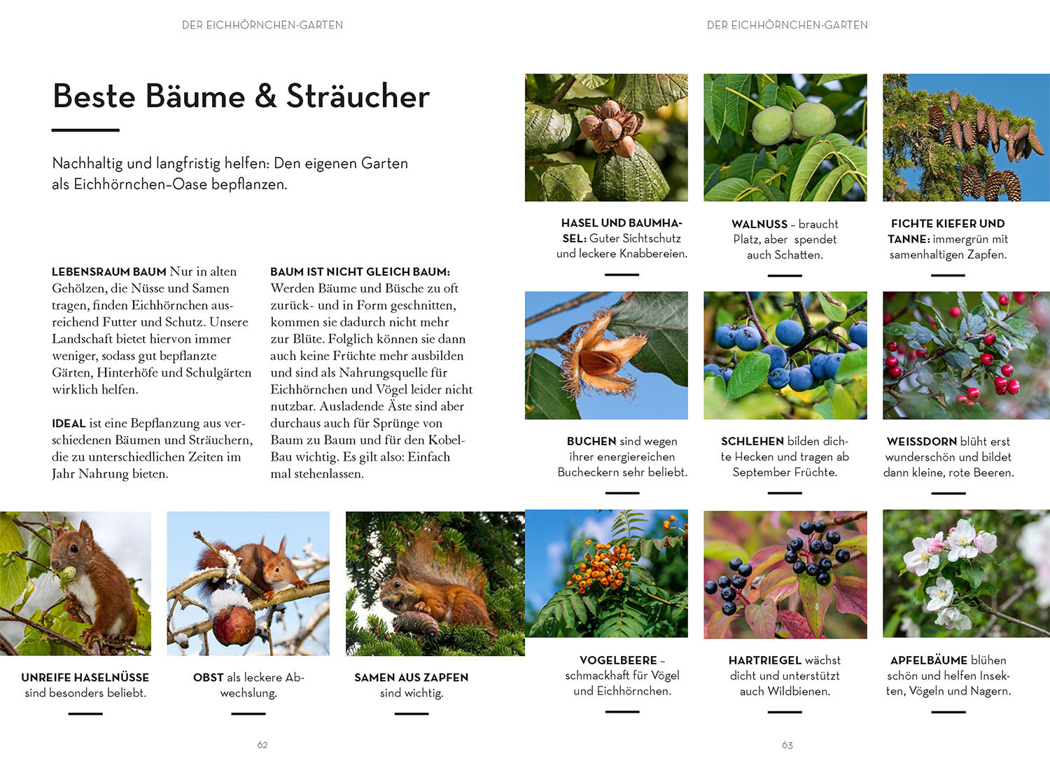Mach was für Eichhörnchen