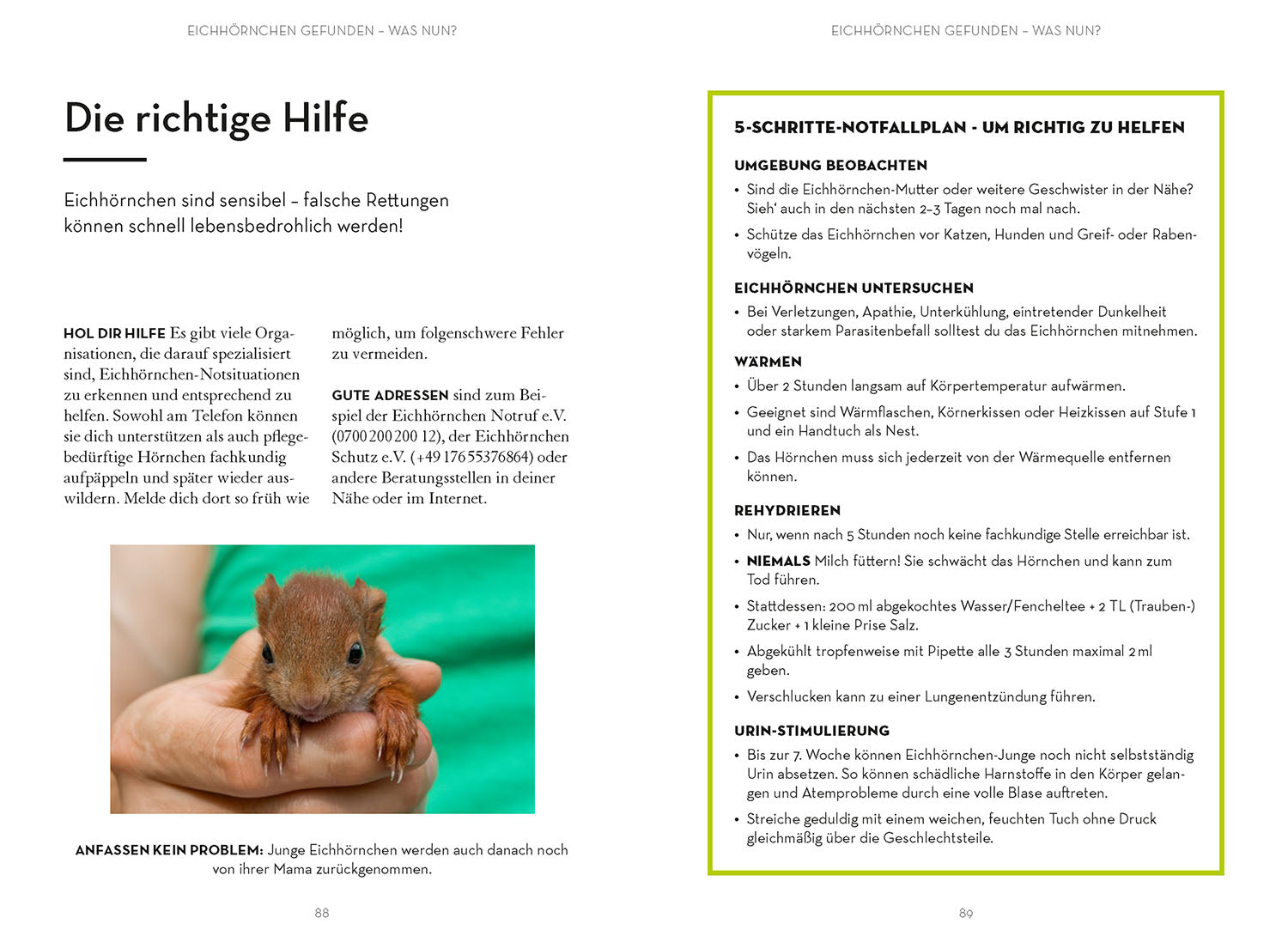 Mach was für Eichhörnchen