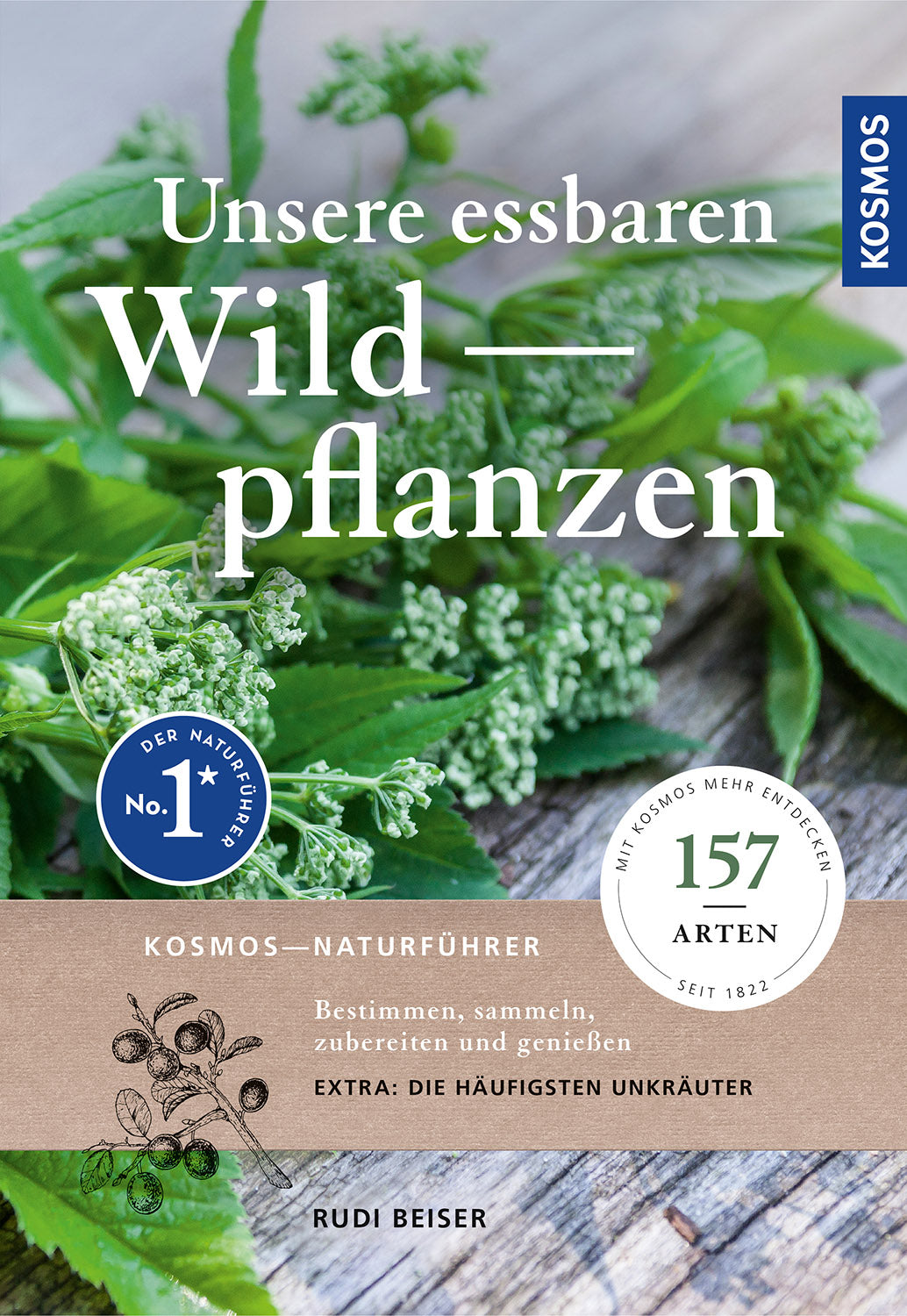 Our Edible Wild Plants