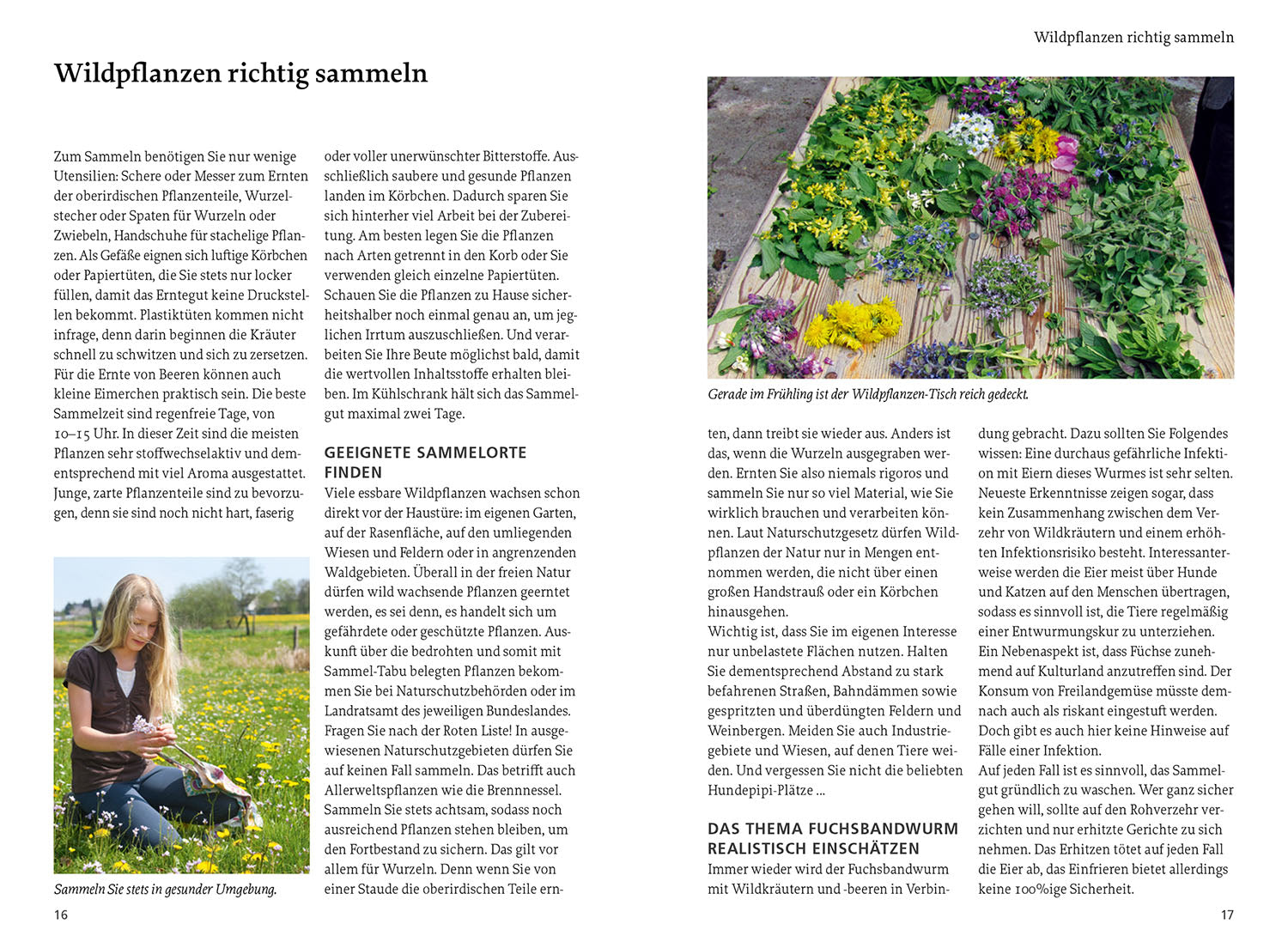 Our Edible Wild Plants