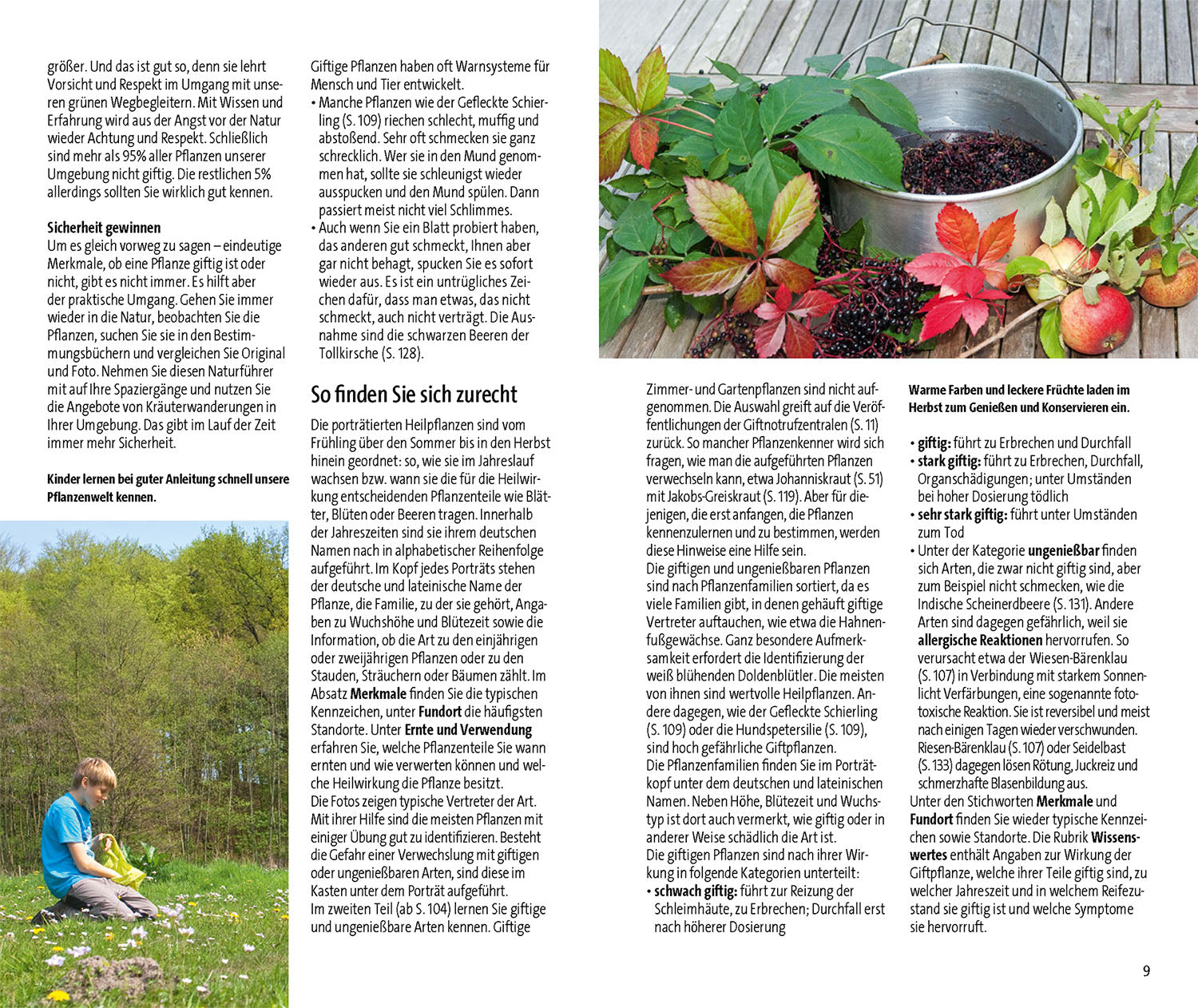Medicinal Plants and Their Poisonous Lookalikes