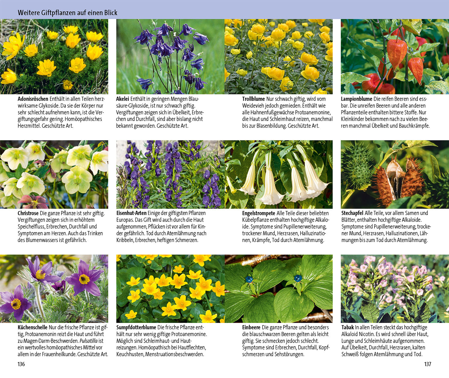 Medicinal Plants and Their Poisonous Lookalikes